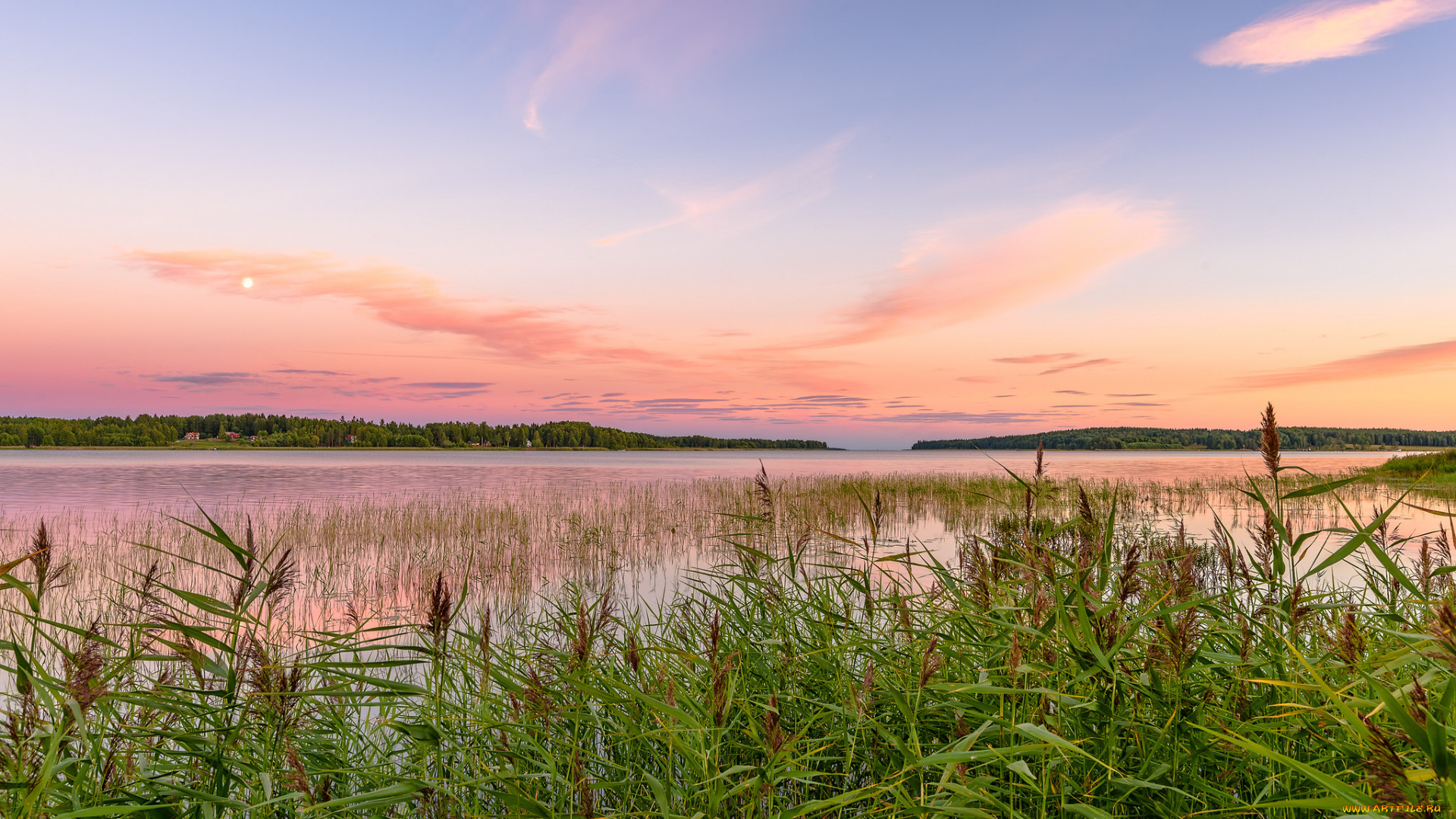 природа, реки, озера, река, лес