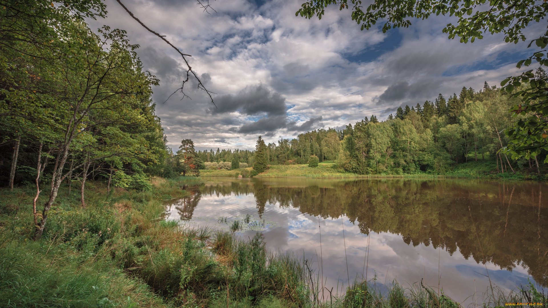 природа, реки, озера, река, лес