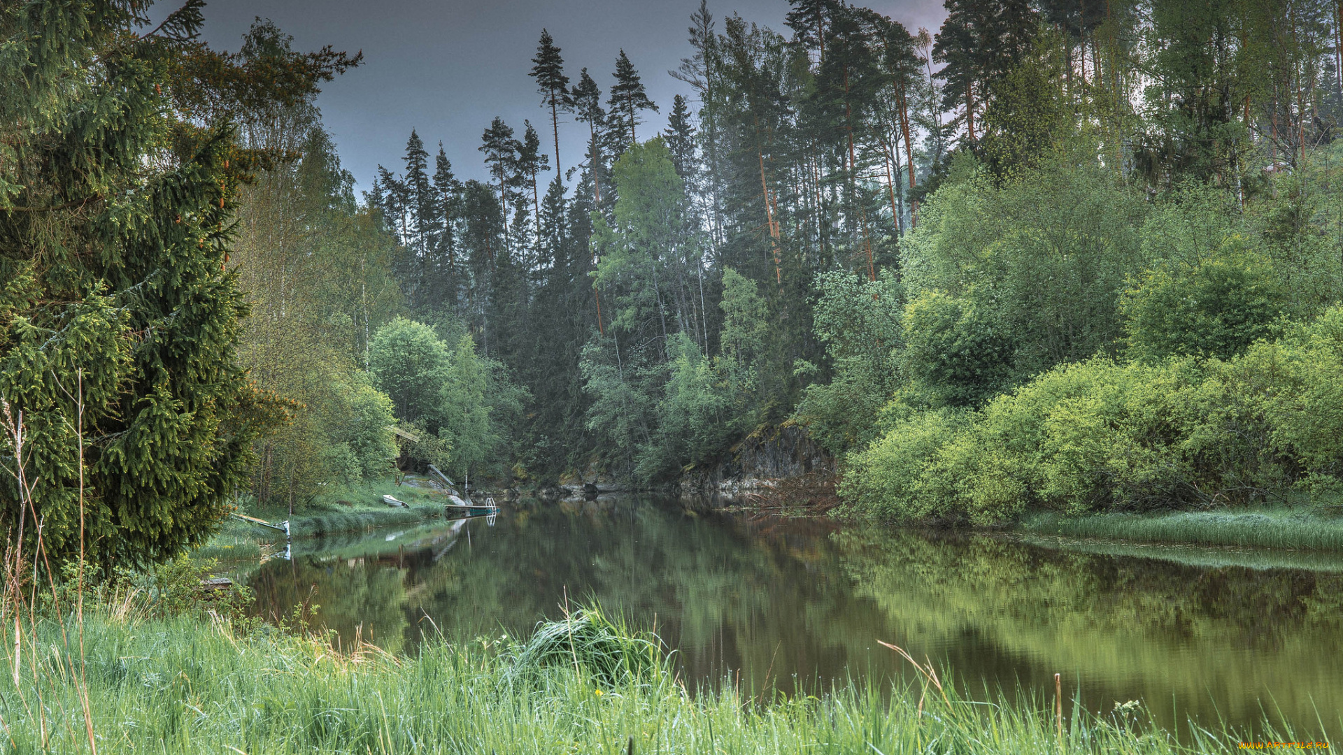 природа, реки, озера, река, лес