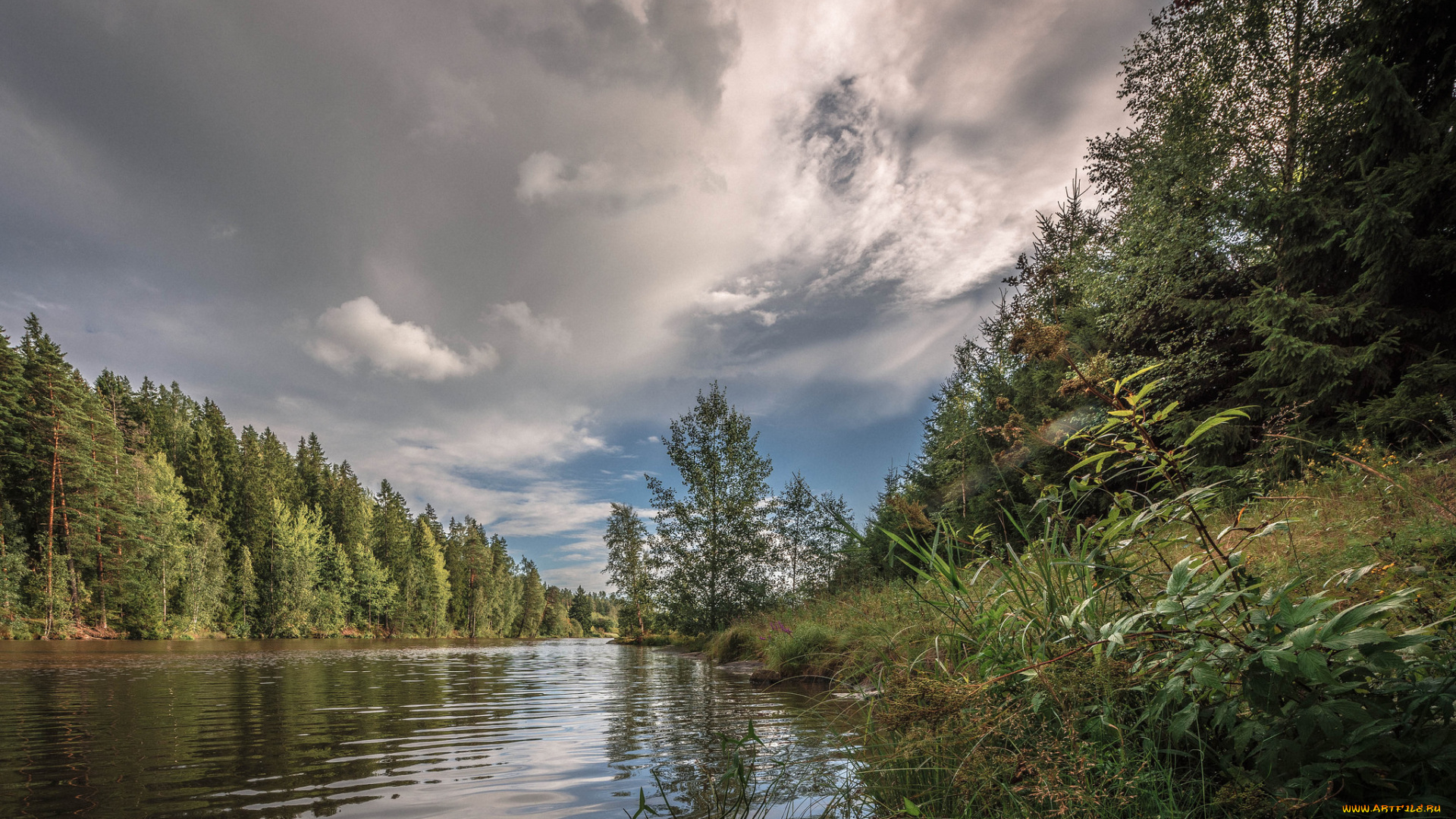 природа, реки, озера, река, лес