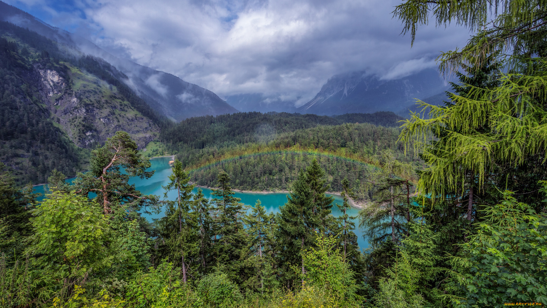 природа, реки, озера, река, лес