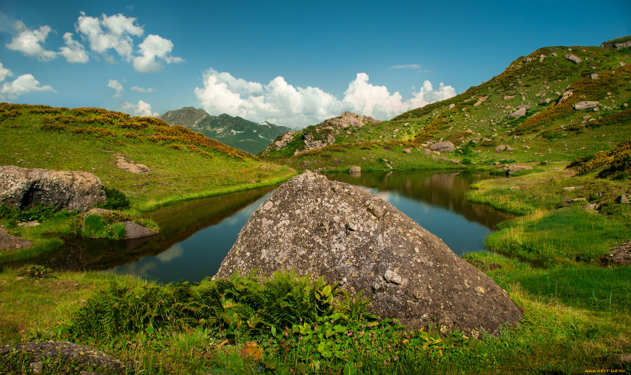 природа, реки, озера, лес, река