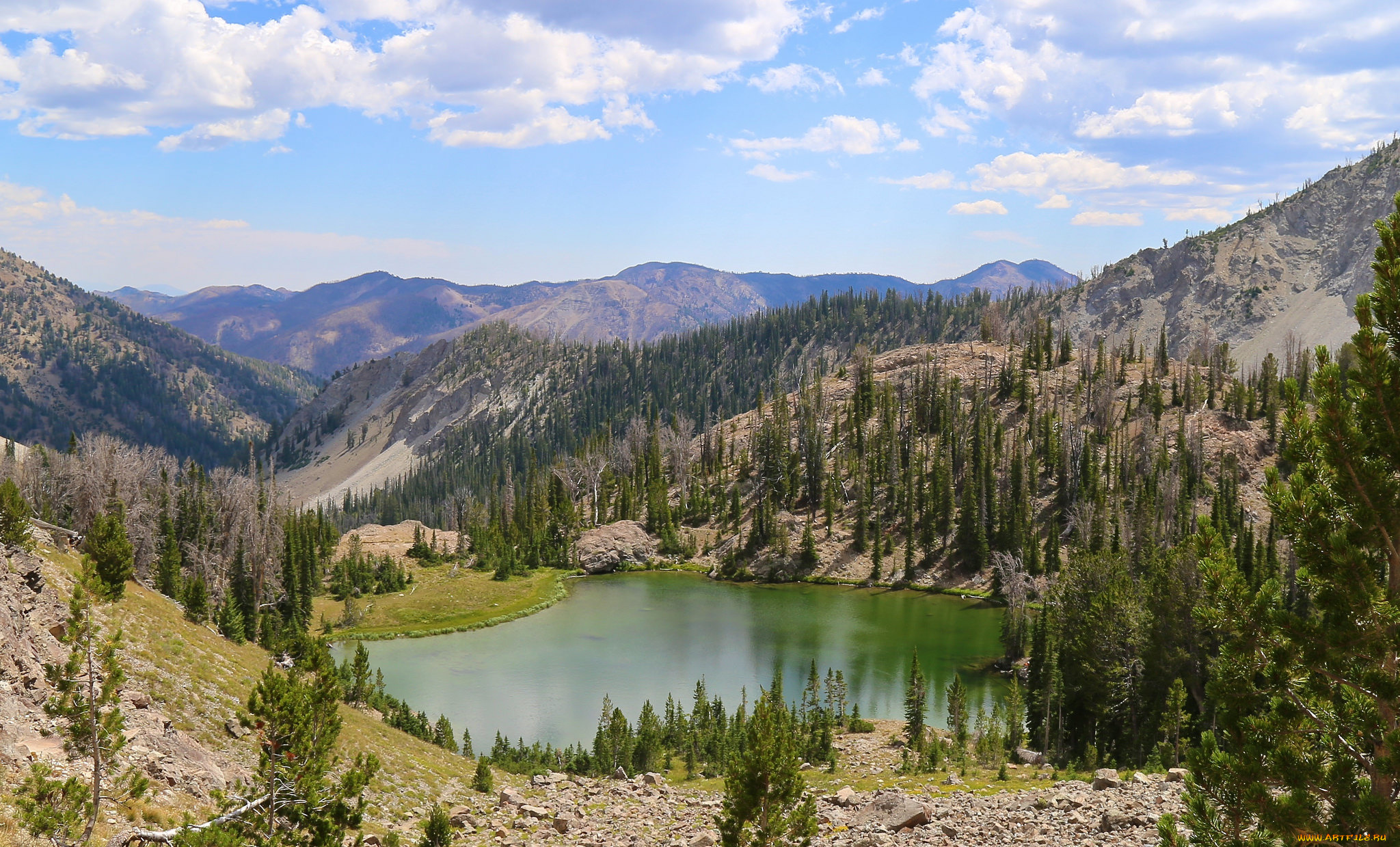 природа, реки, озера, река, лес