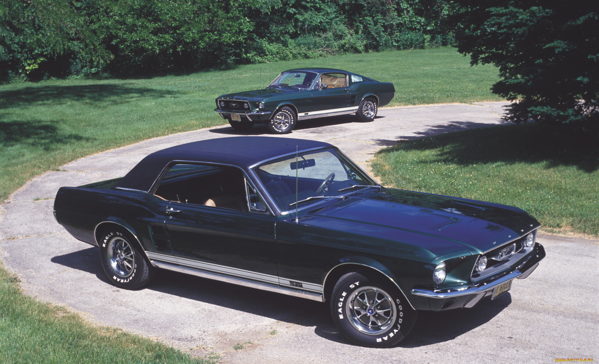 автомобили, mustang