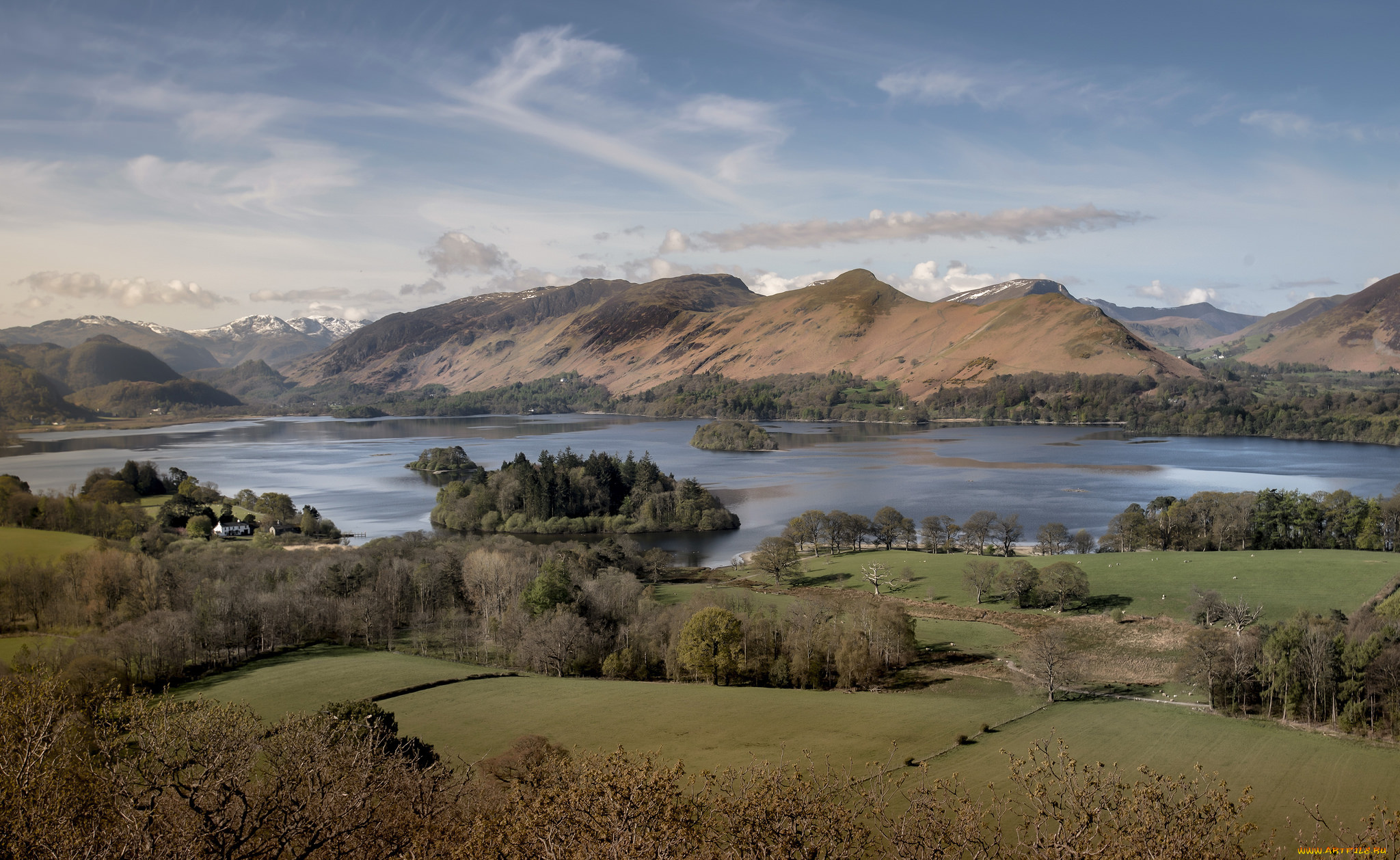 природа, реки, озера, лес, река