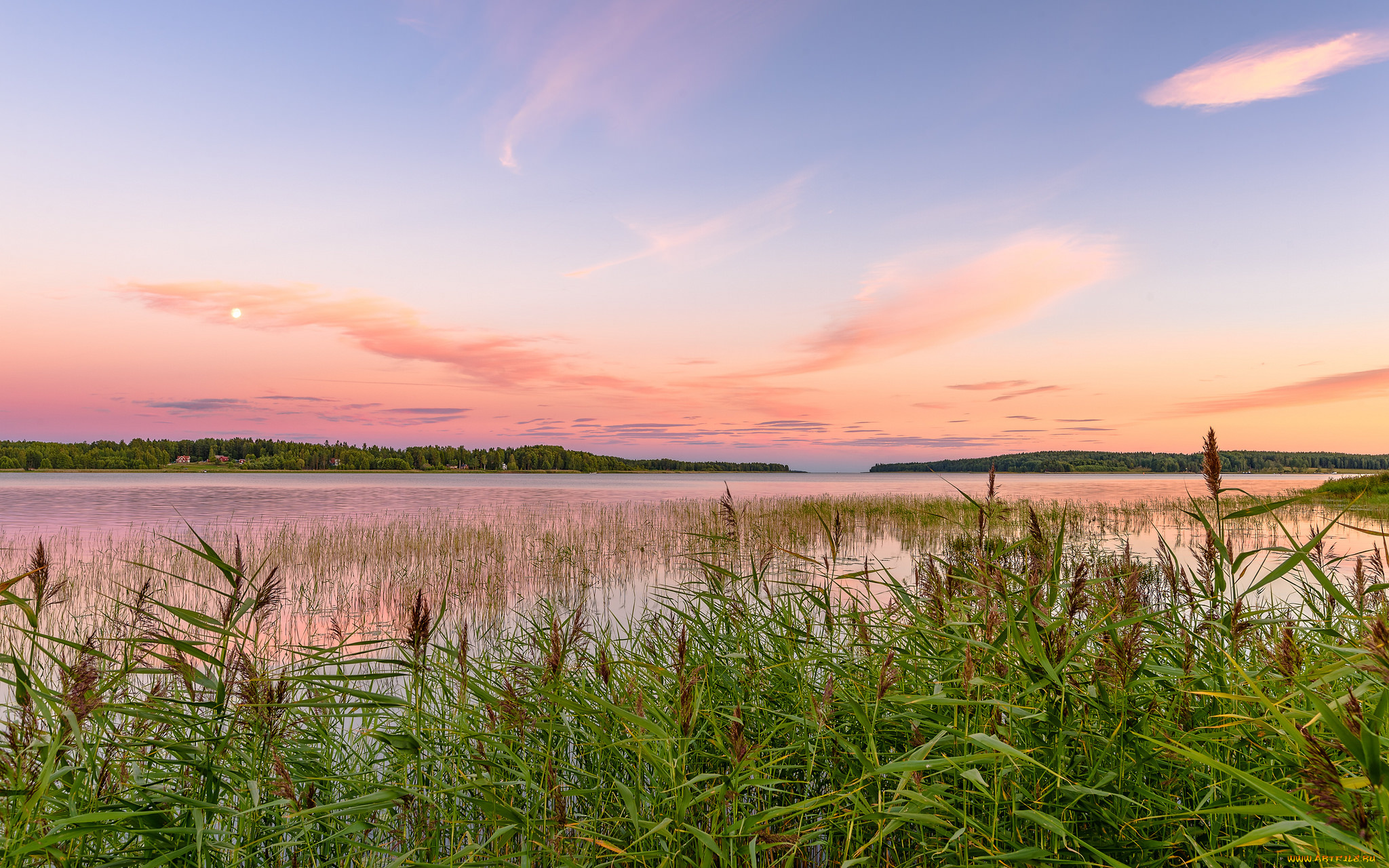 природа, реки, озера, река, лес