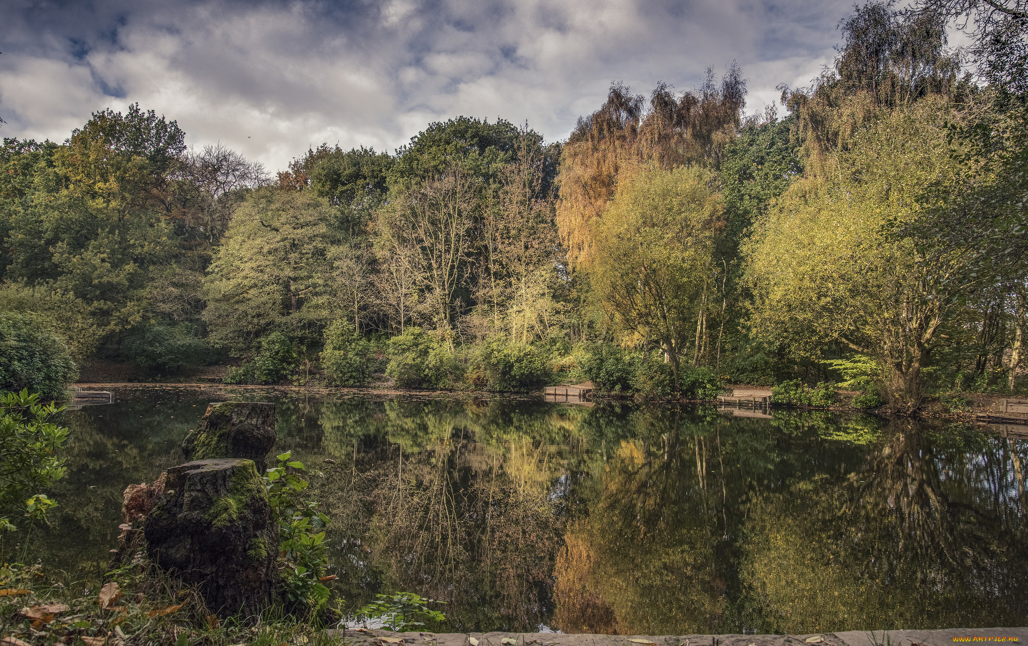 природа, реки, озера, река, лес