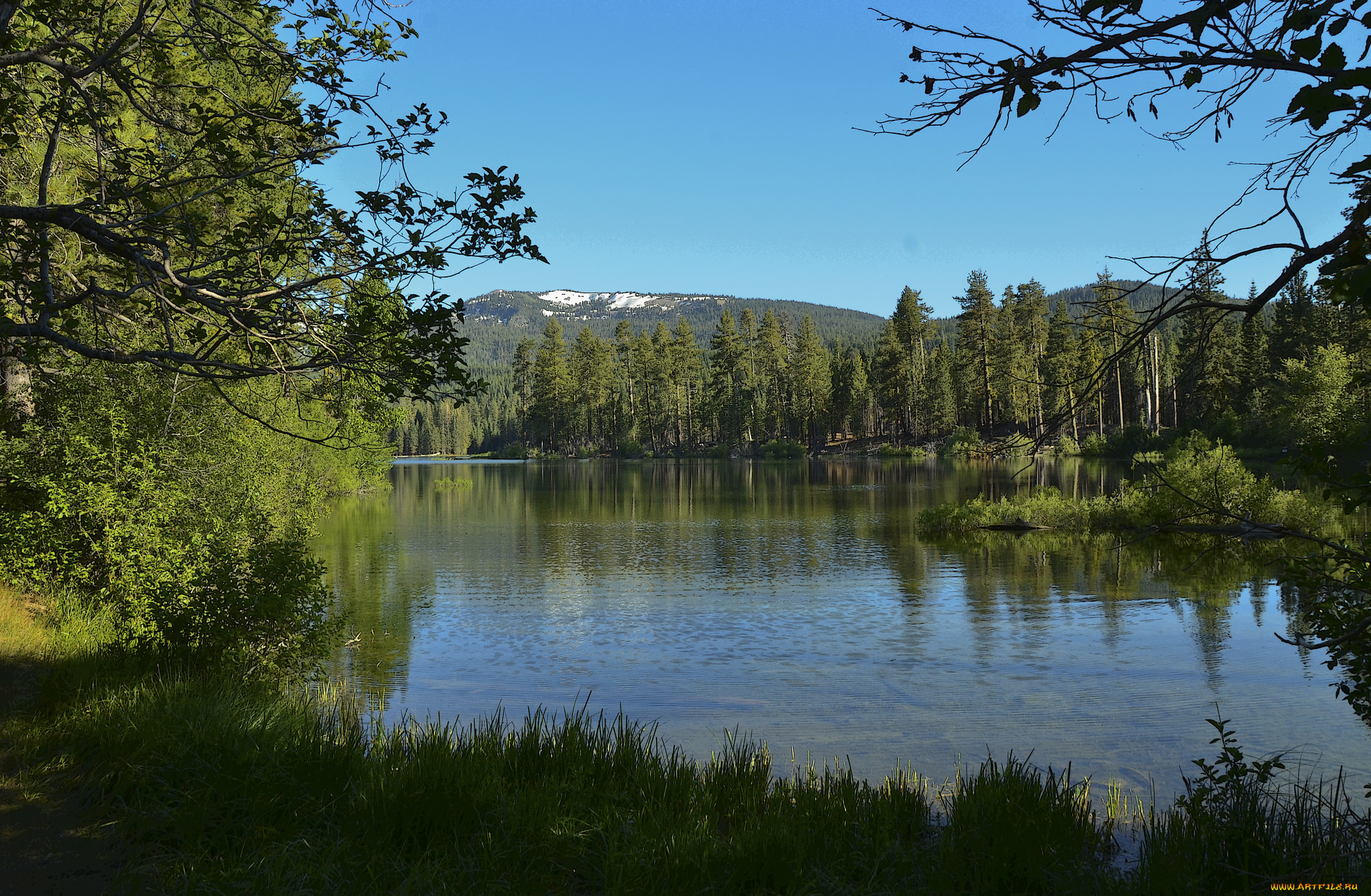 природа, реки, озера, лес, река