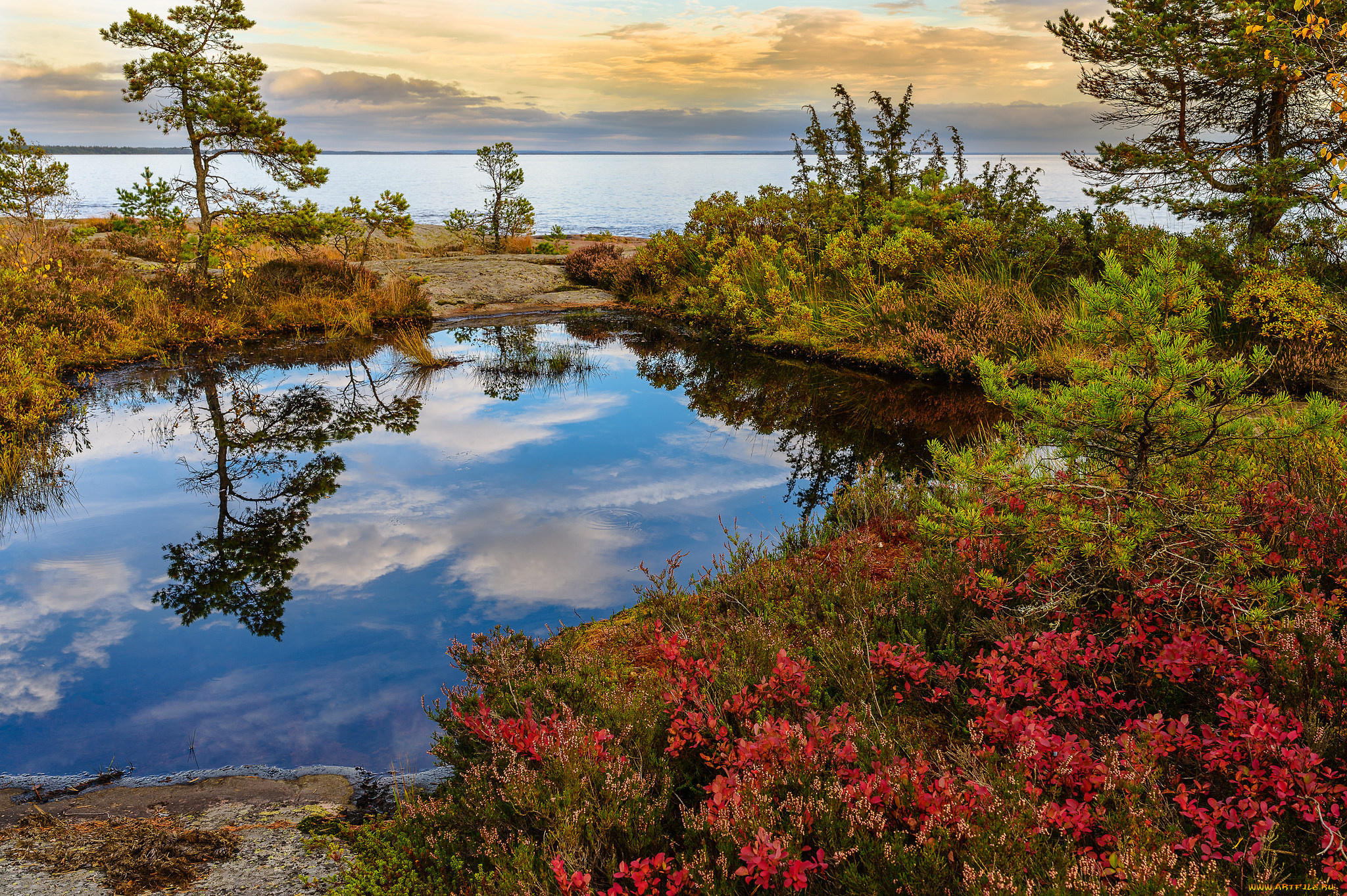 природа, реки, озера, река, лес