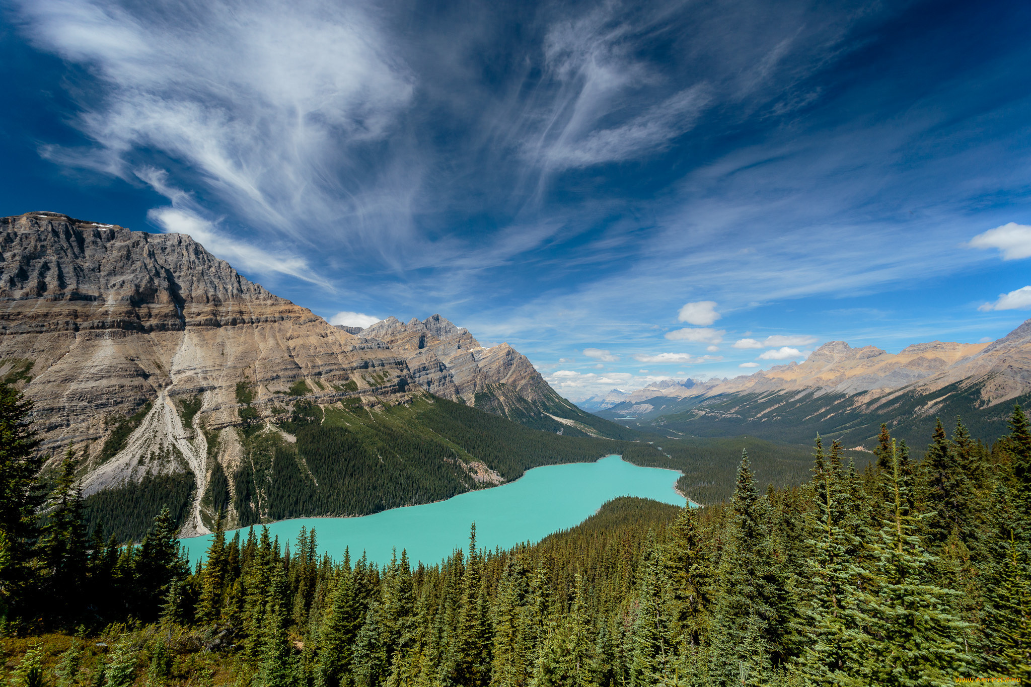 природа, реки, озера, лес, река