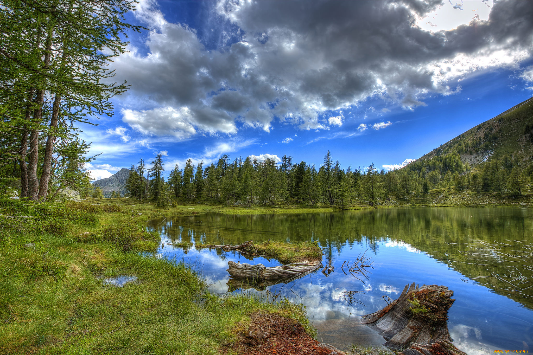 природа, реки, озера, лес, река