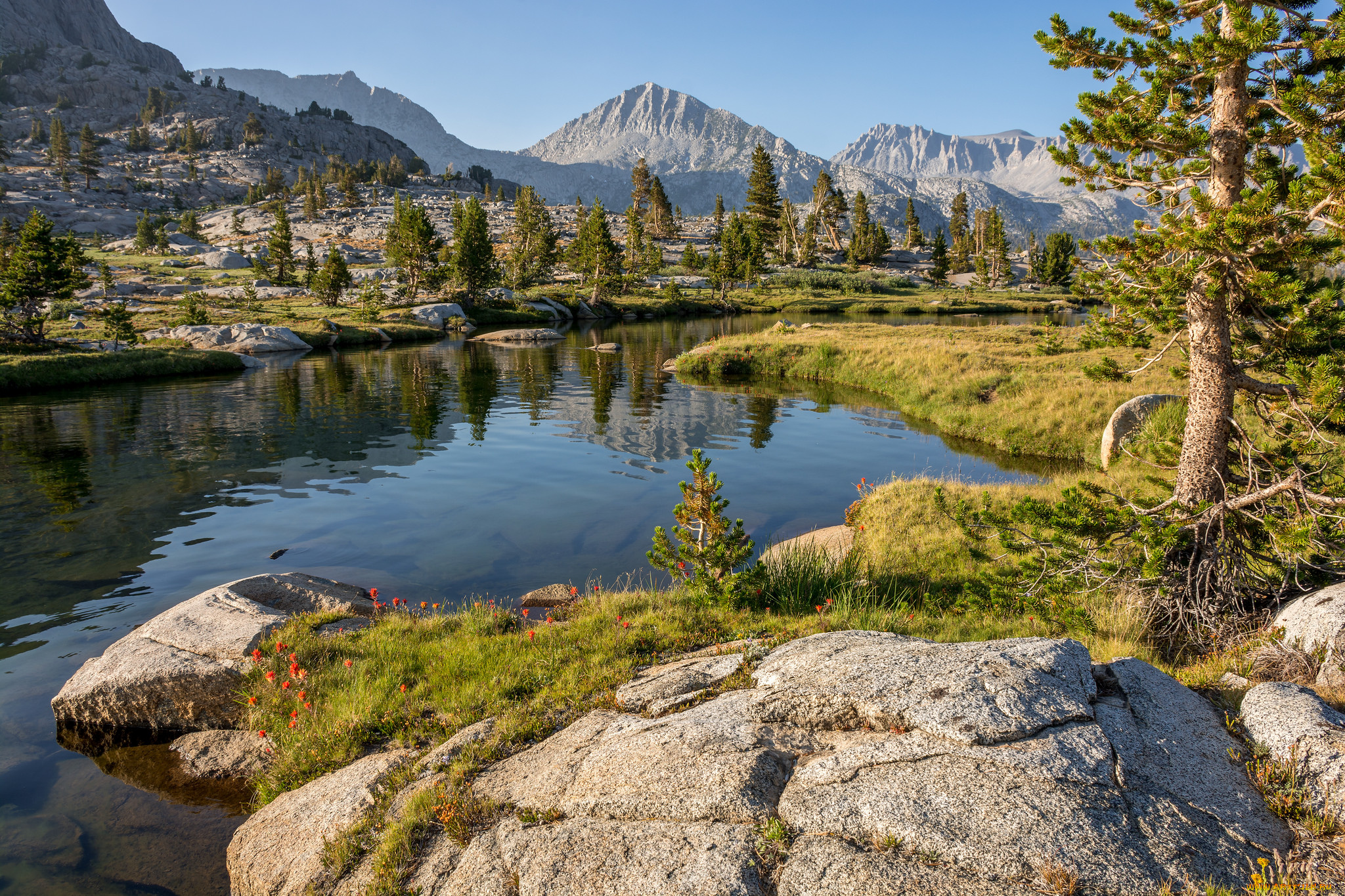 природа, реки, озера, река, лес