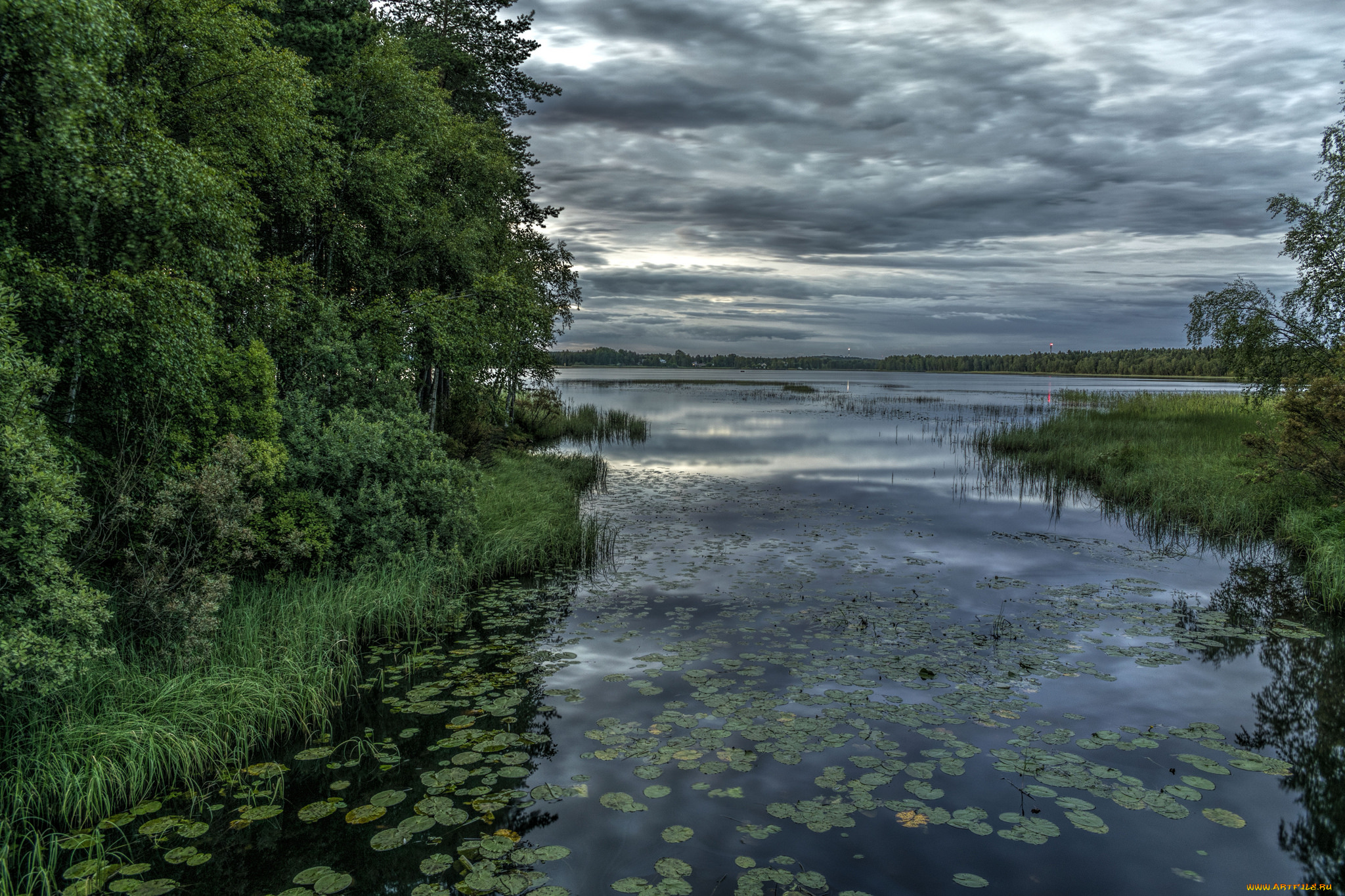 природа, реки, озера, река, лес