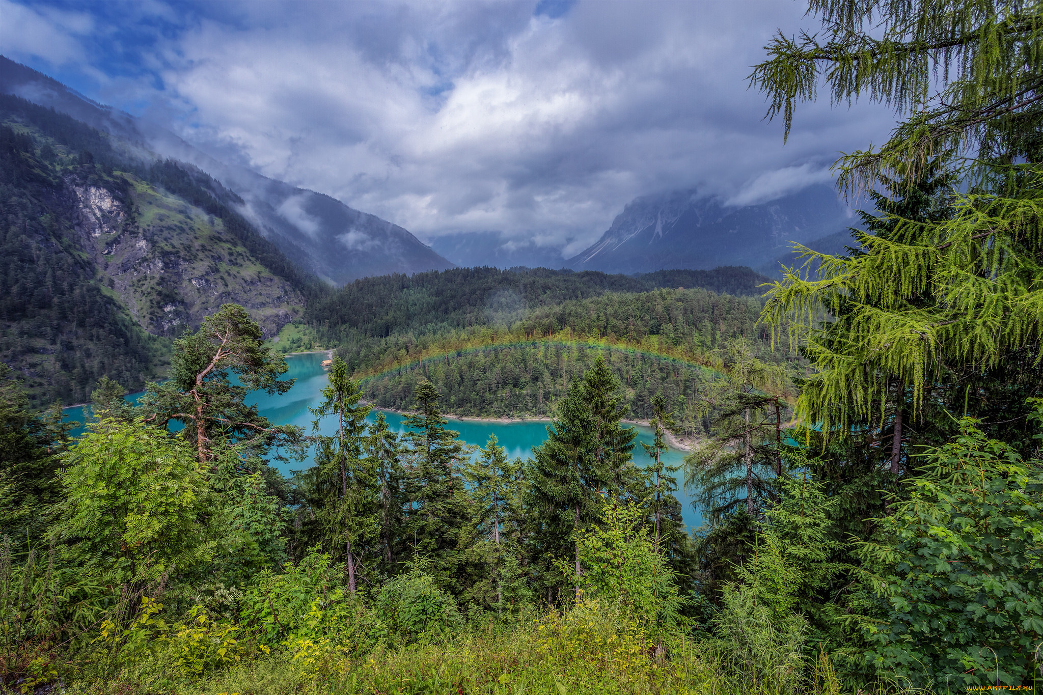 природа, реки, озера, река, лес