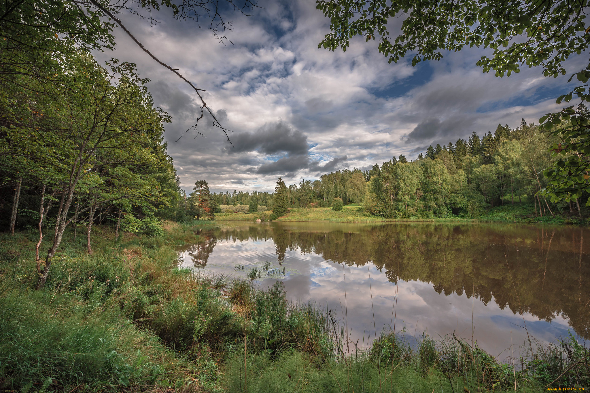 природа, реки, озера, река, лес