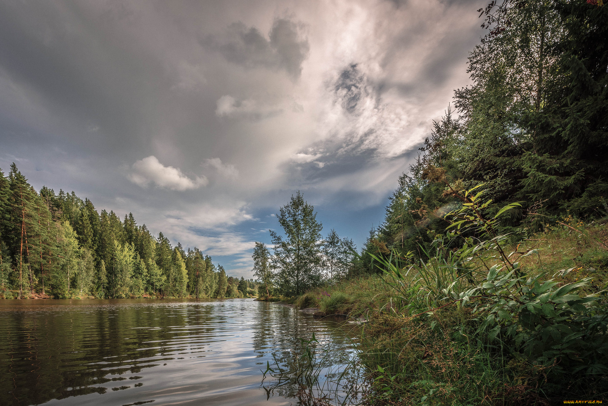 природа, реки, озера, река, лес