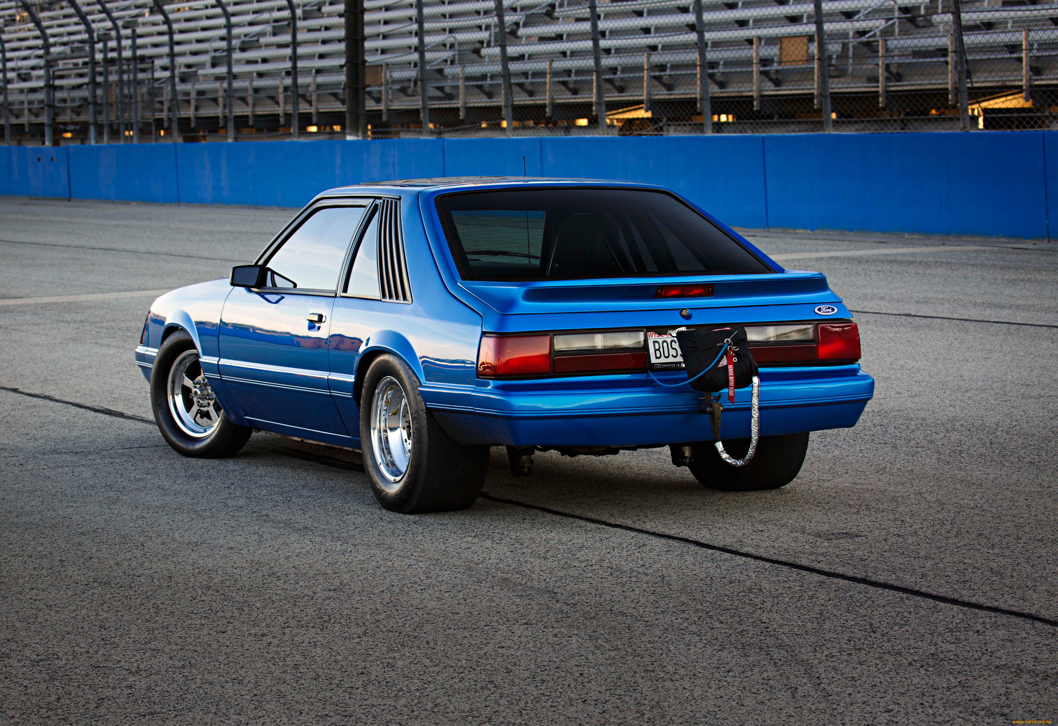 автомобили, mustang