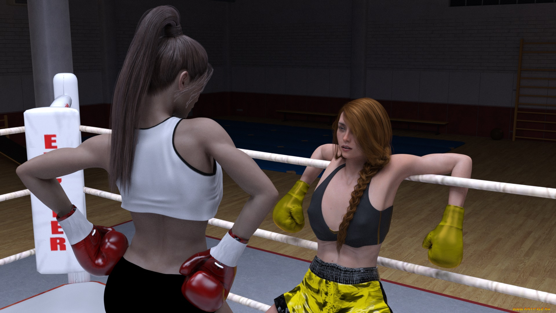 3д, графика, спорт, , sport, бокс, ринг, девушки, взгляд, фон