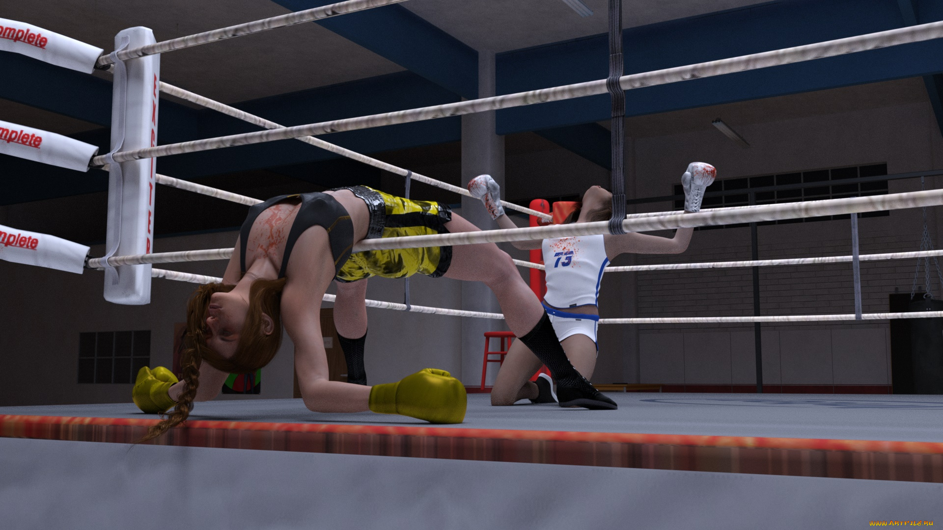 3д, графика, спорт, , sport, ринг, девушки, бокс, взгляд, фон
