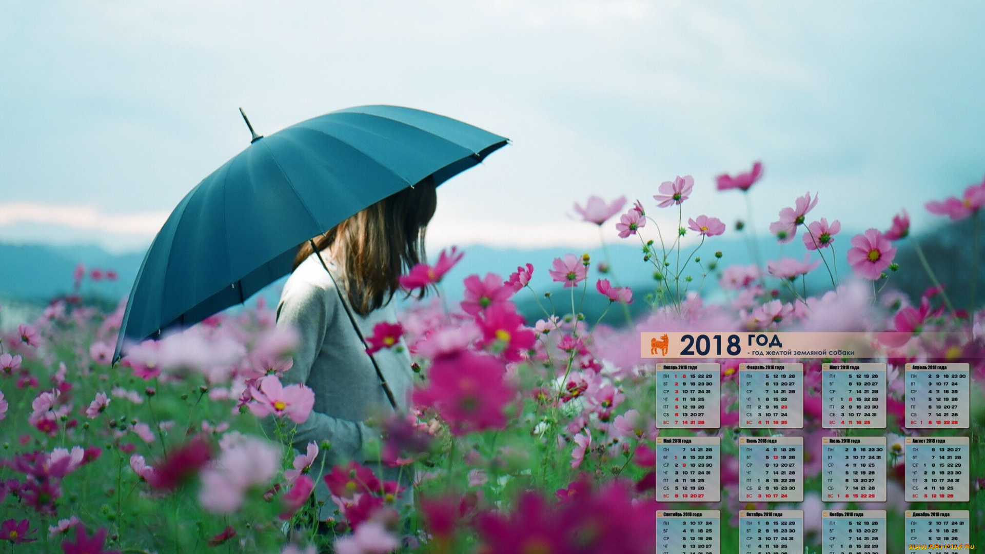 календари, девушки, 2018, цветы, зонт, профиль