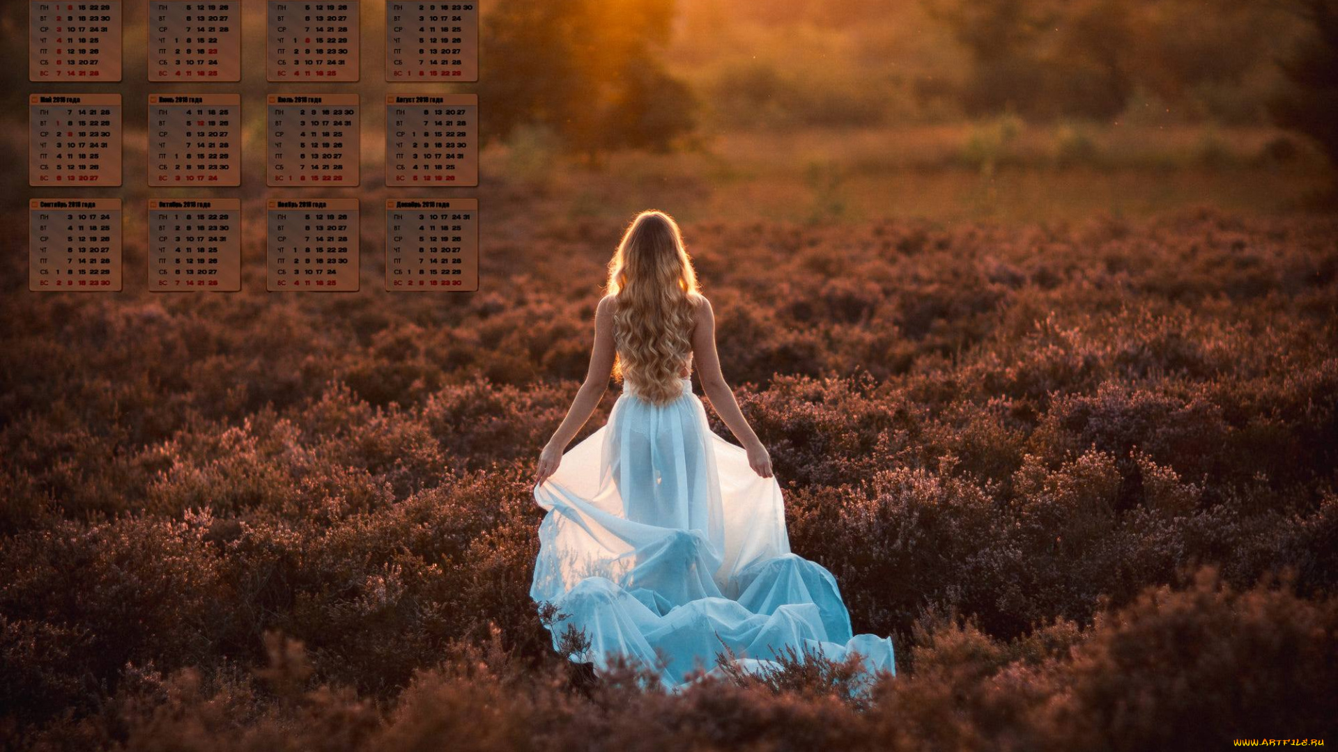 календари, девушки, 2018, закат, растения