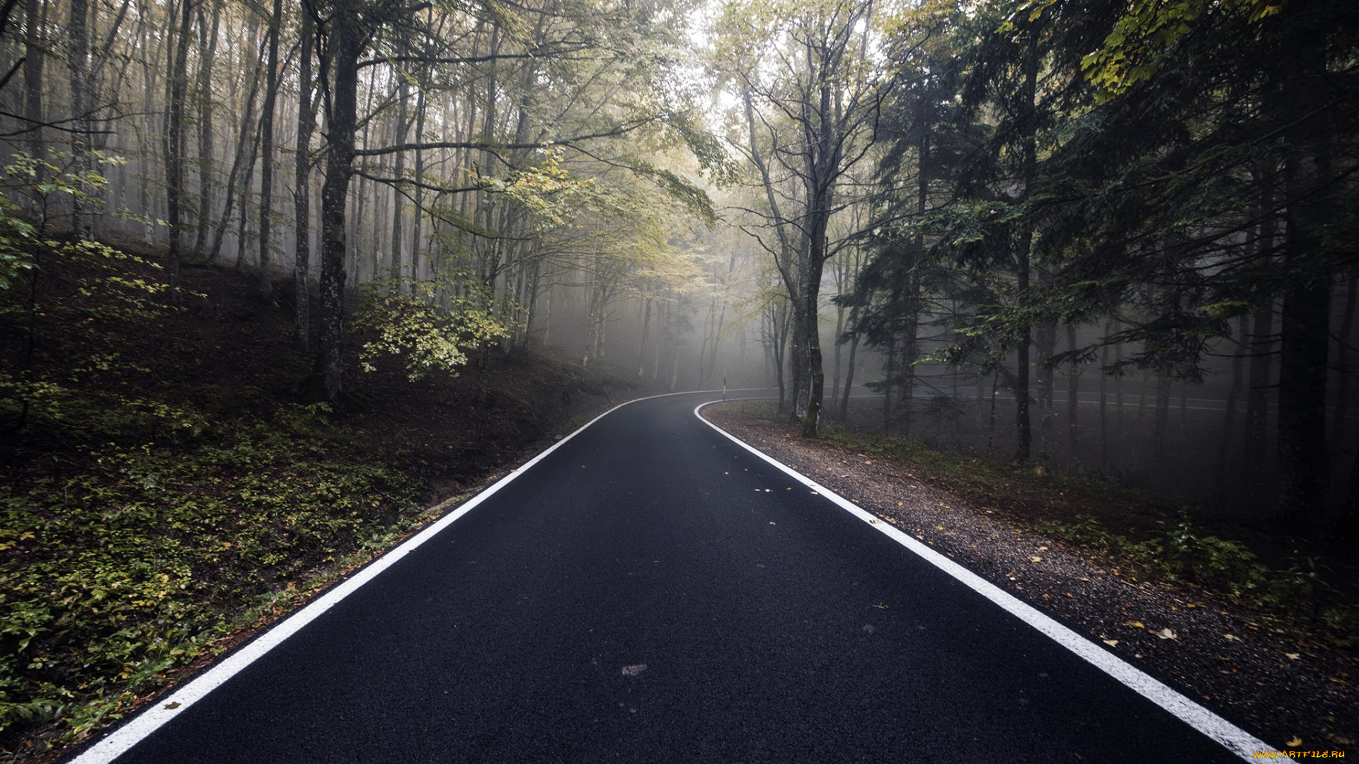 природа, дороги, лес, осень, дорога