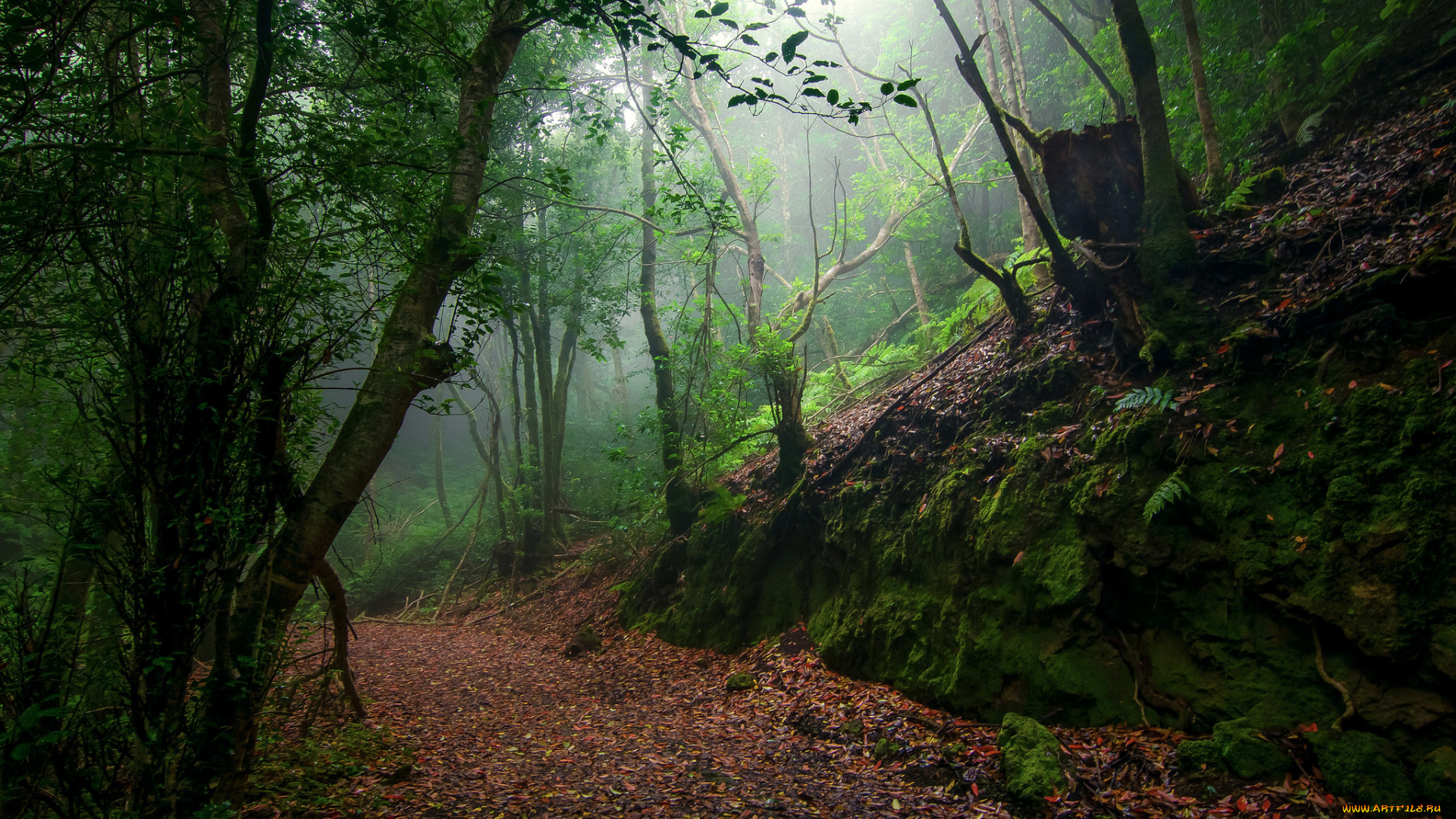 природа, дороги, простор