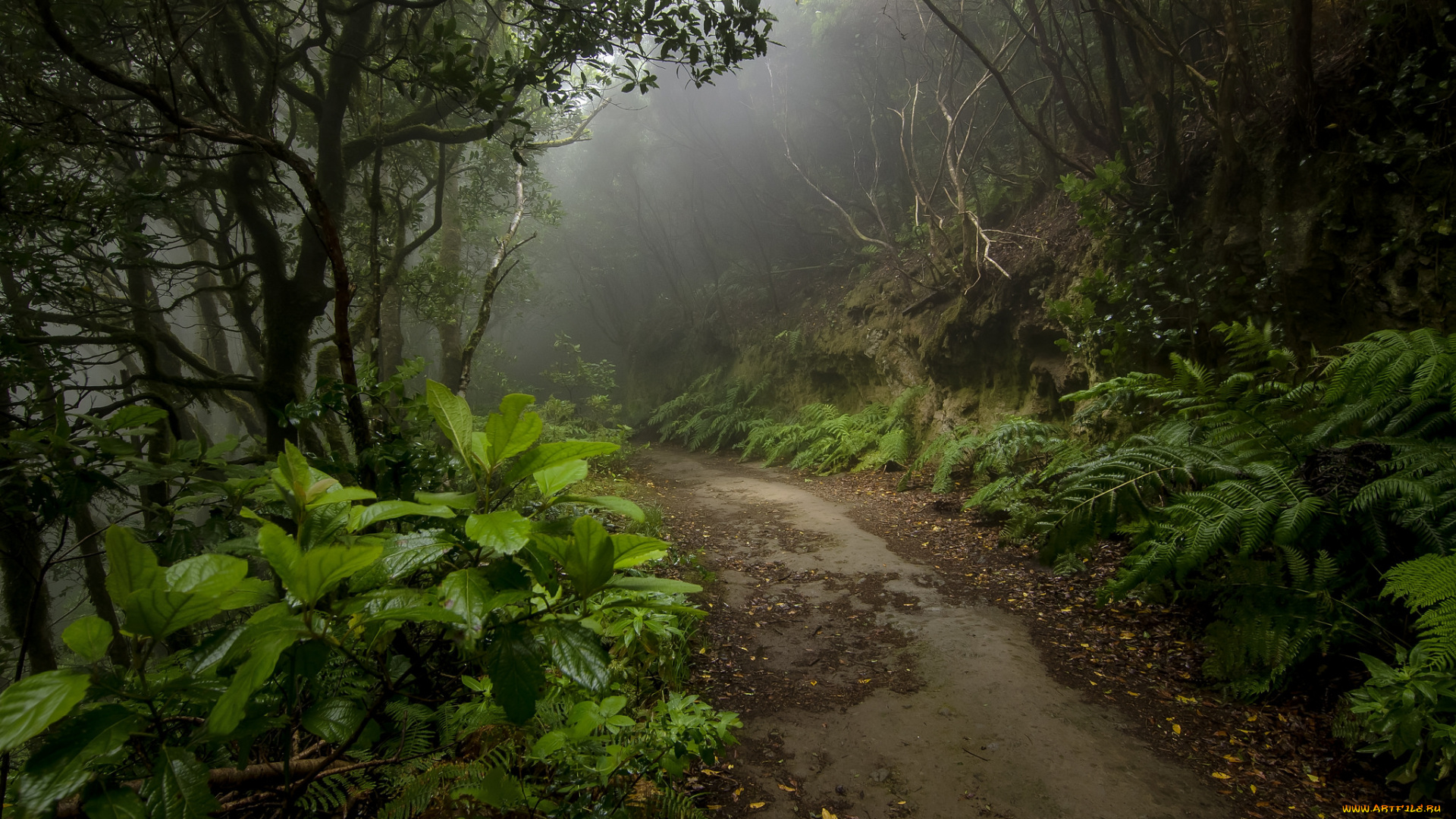 природа, дороги, простор