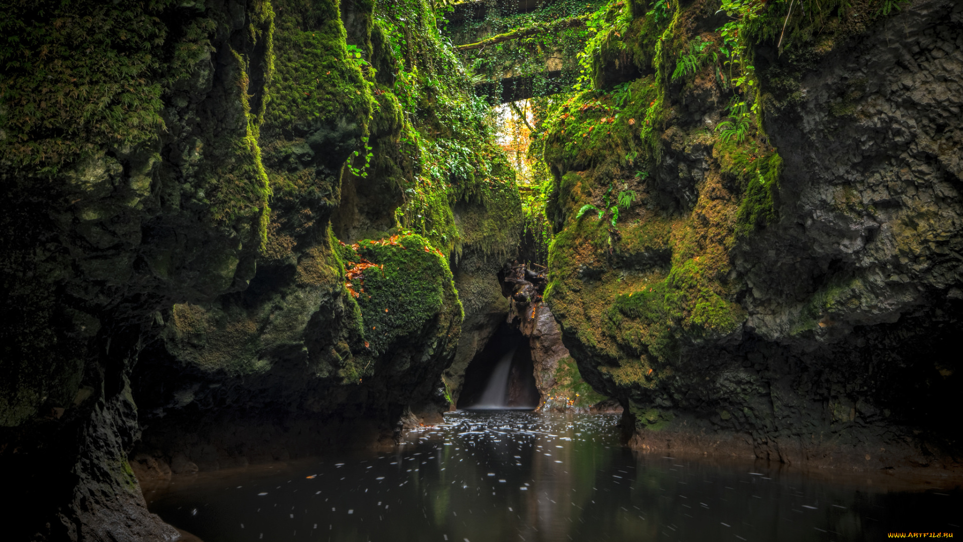 природа, реки, озера, простор