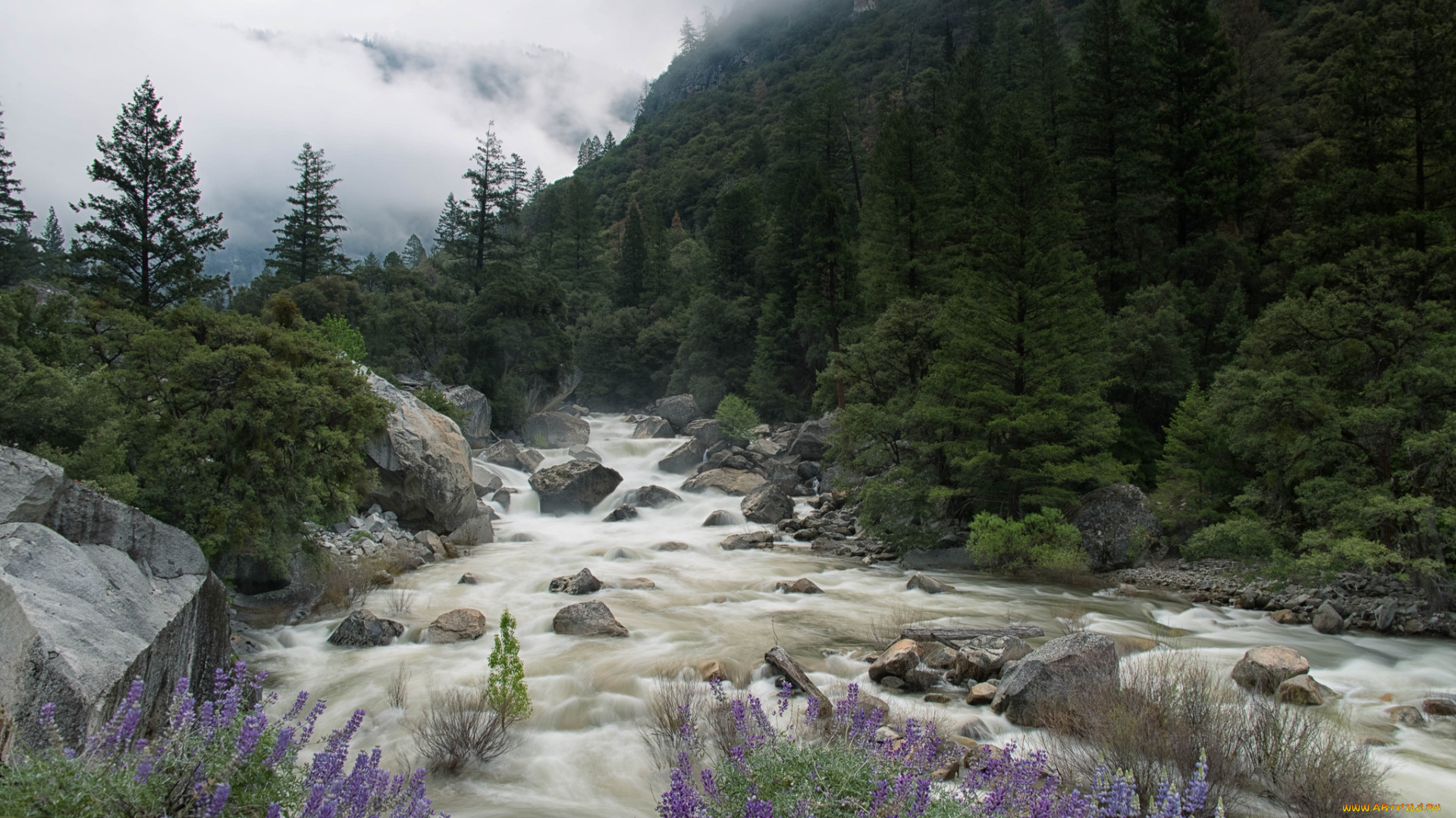 природа, реки, озера, простор