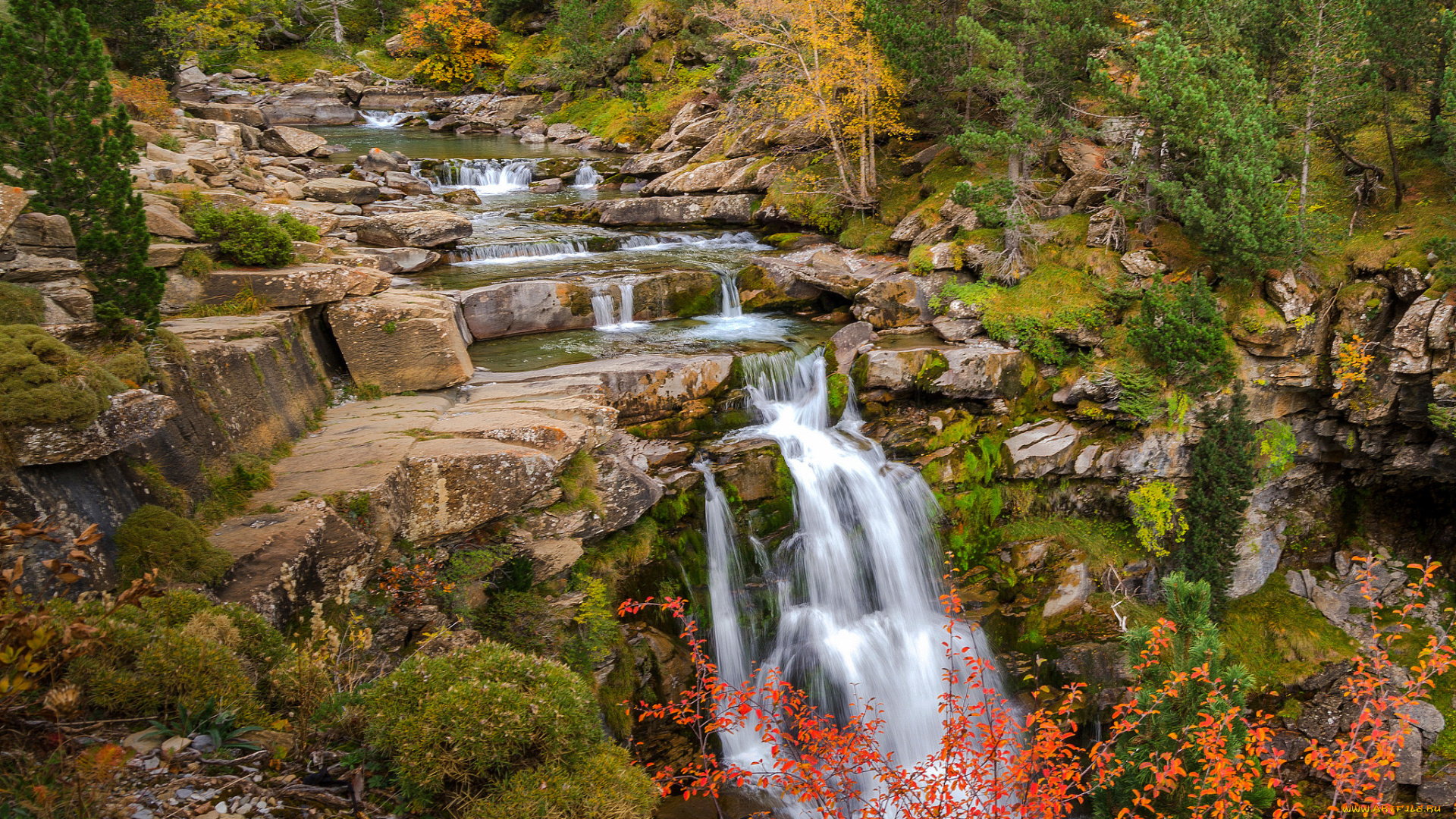 природа, водопады, водопад, река, лес