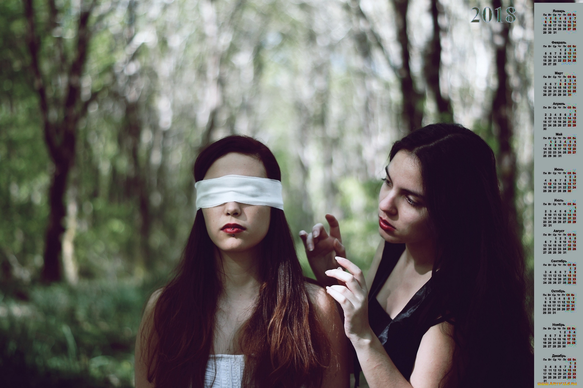 календари, девушки, повязка, двое, 2018, деревья