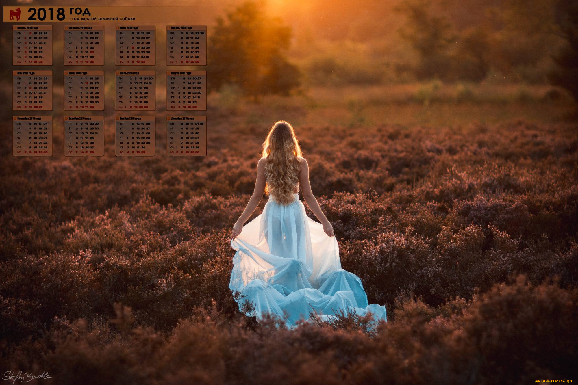 календари, девушки, 2018, закат, растения