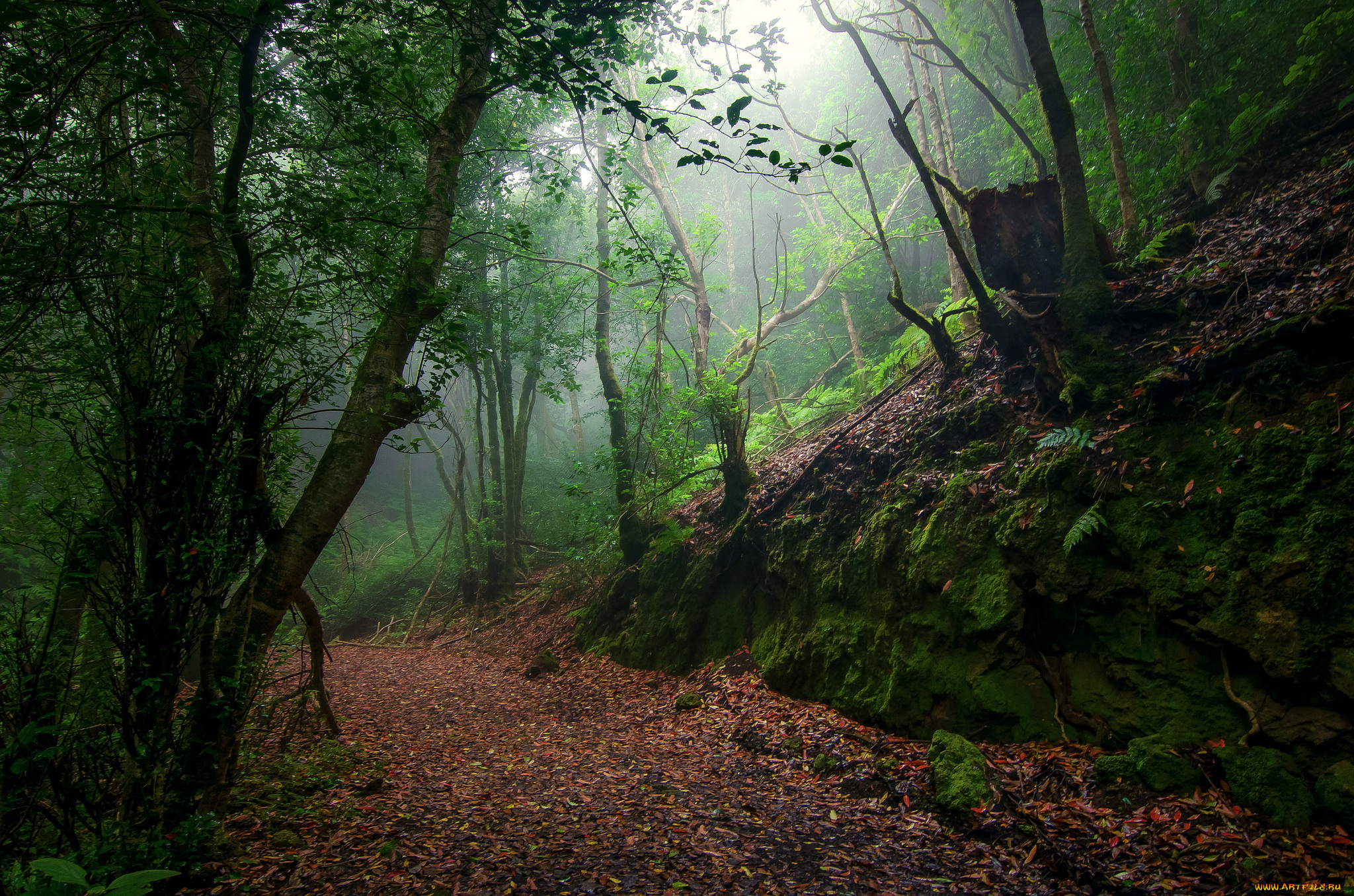 природа, дороги, простор