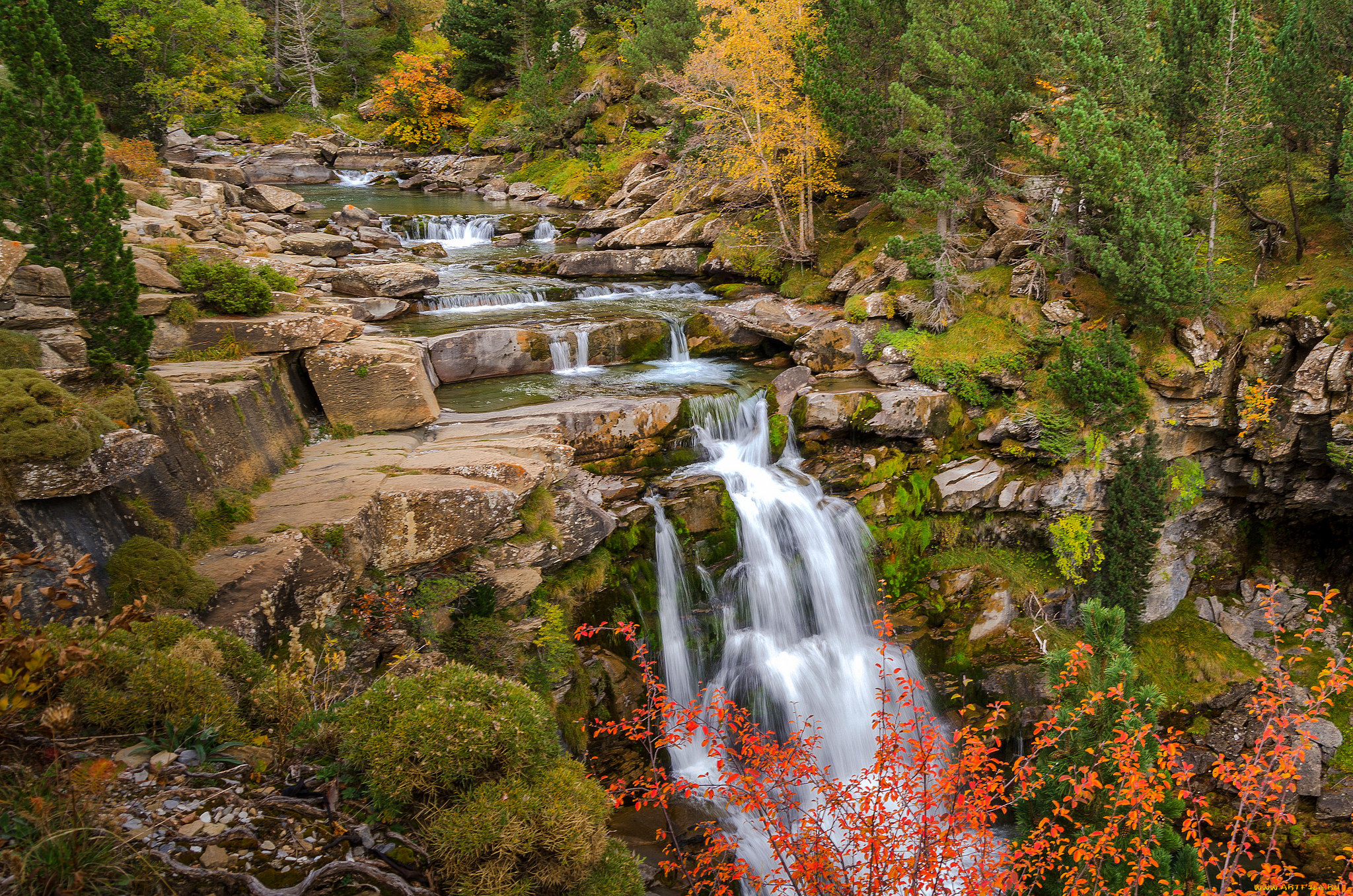 природа, водопады, водопад, река, лес