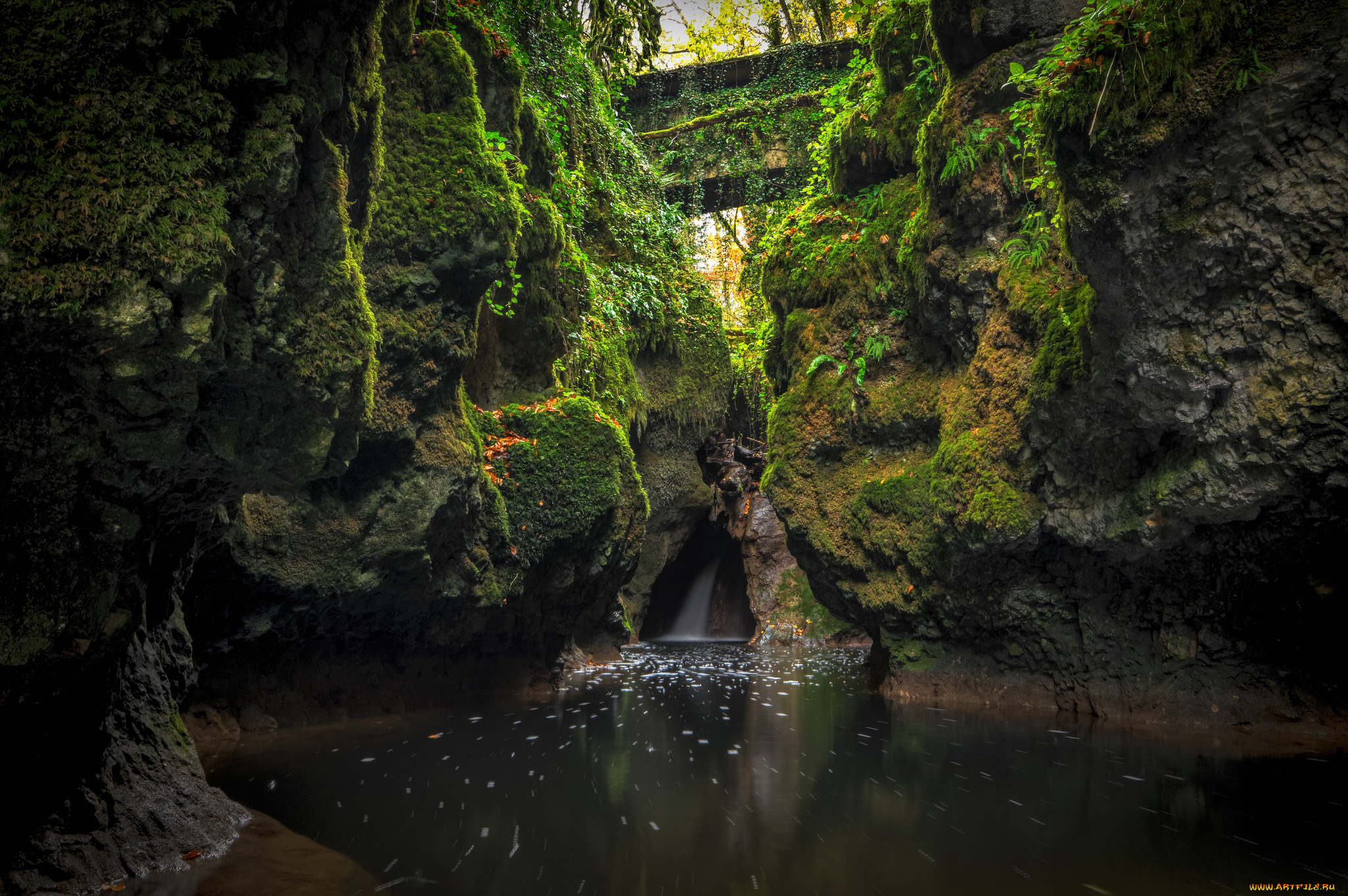 природа, реки, озера, простор