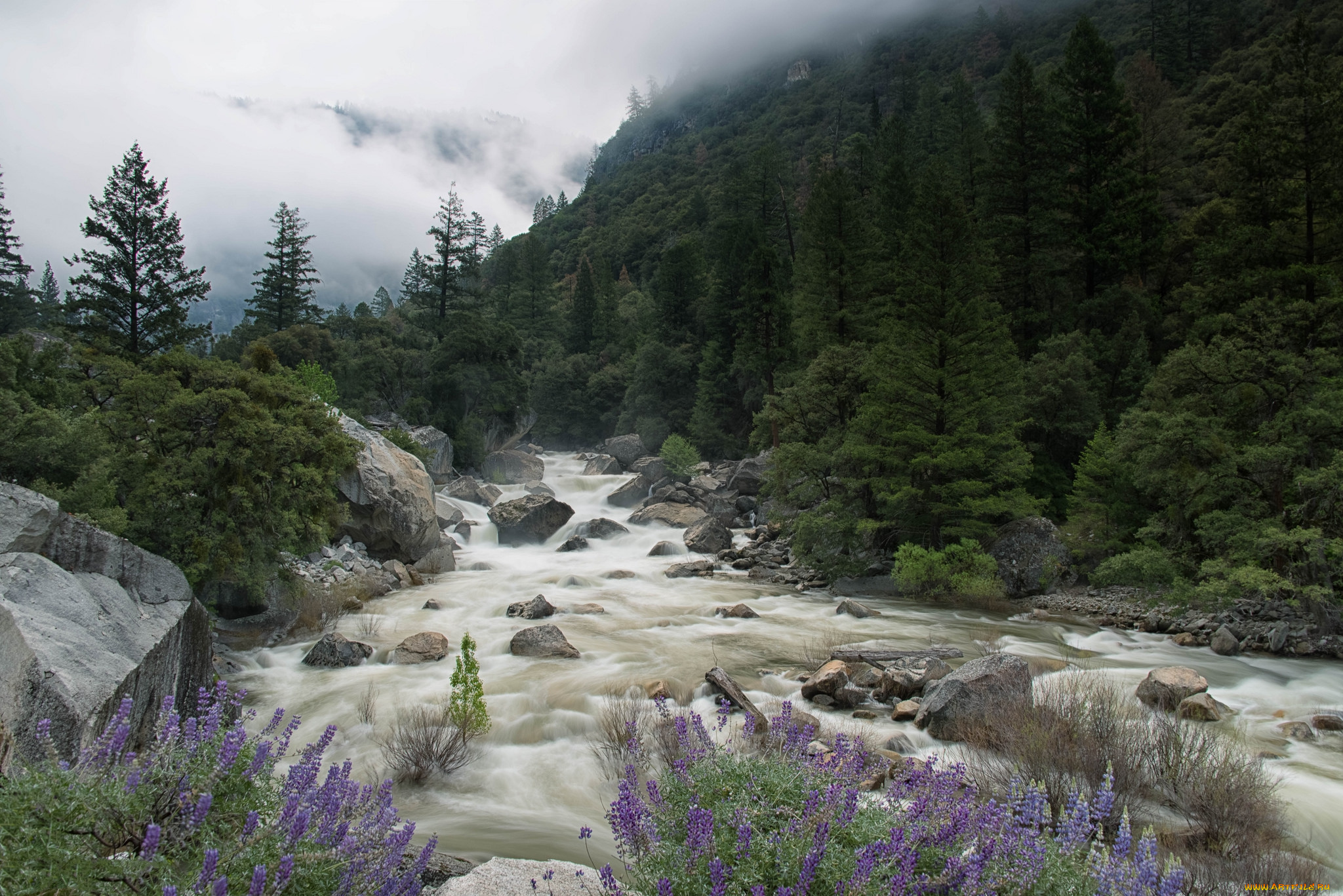 природа, реки, озера, простор