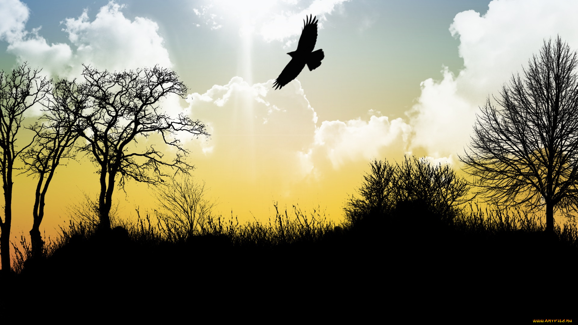 векторная, графика, животные, , animals, лес, деревья