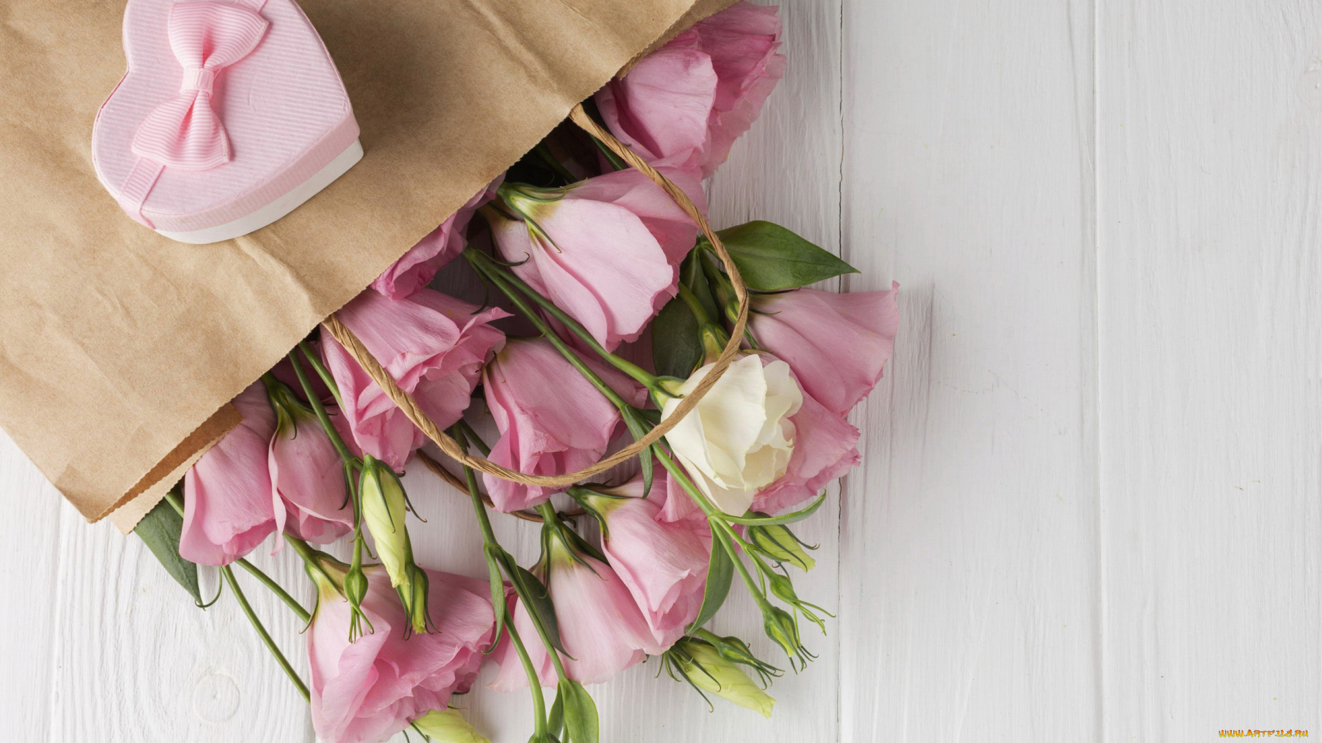 цветы, эустома, бутоны