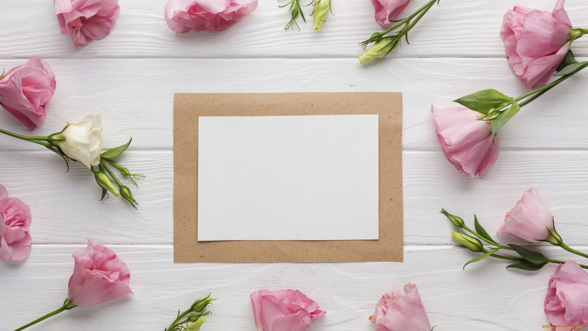 цветы, эустома, бутоны