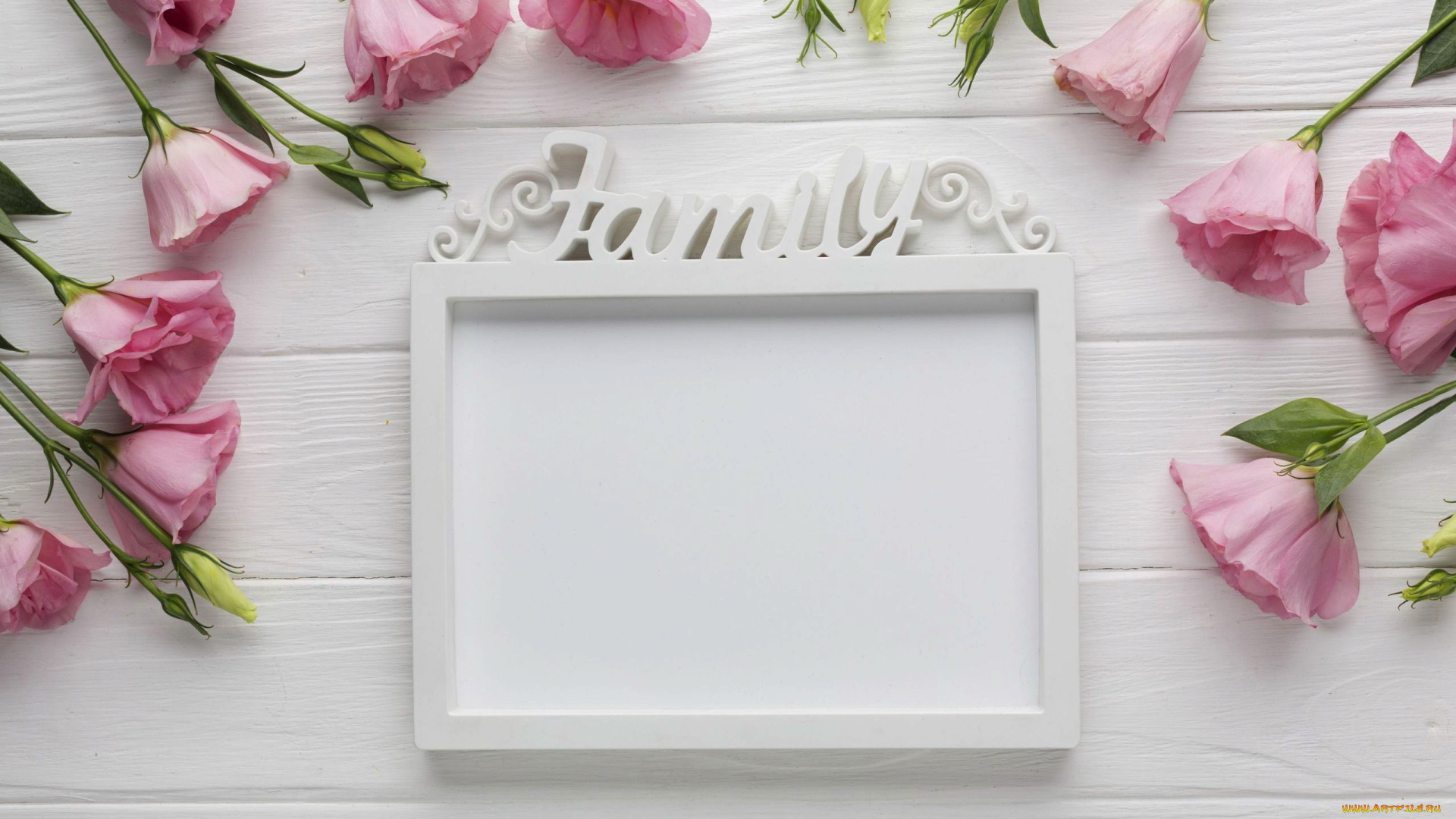 цветы, эустома, надпись, рамка