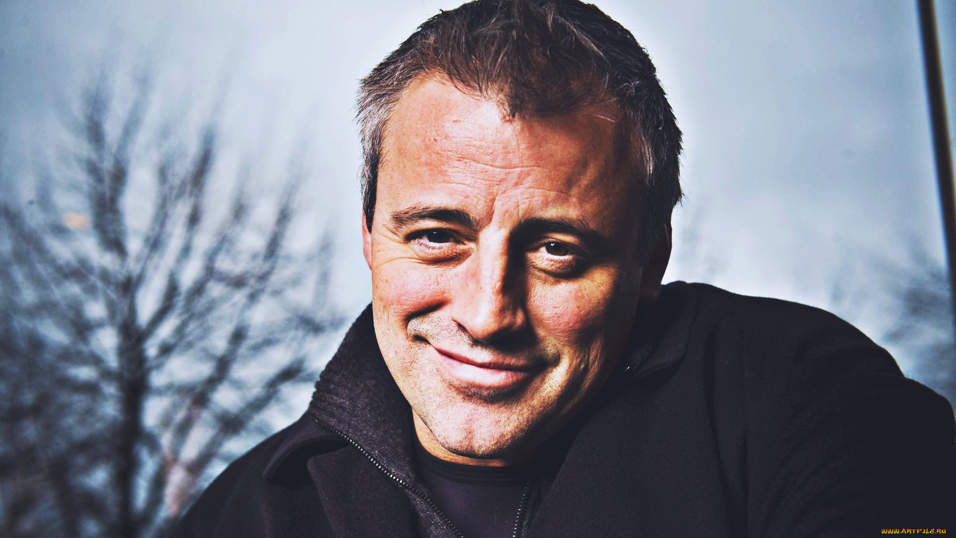 matt, leblanc, мужчины, американский, актер, мэттью, стивен, леблан, американская, знаменитость, 2019, мэтт, лебланк, мужчина, голливуд