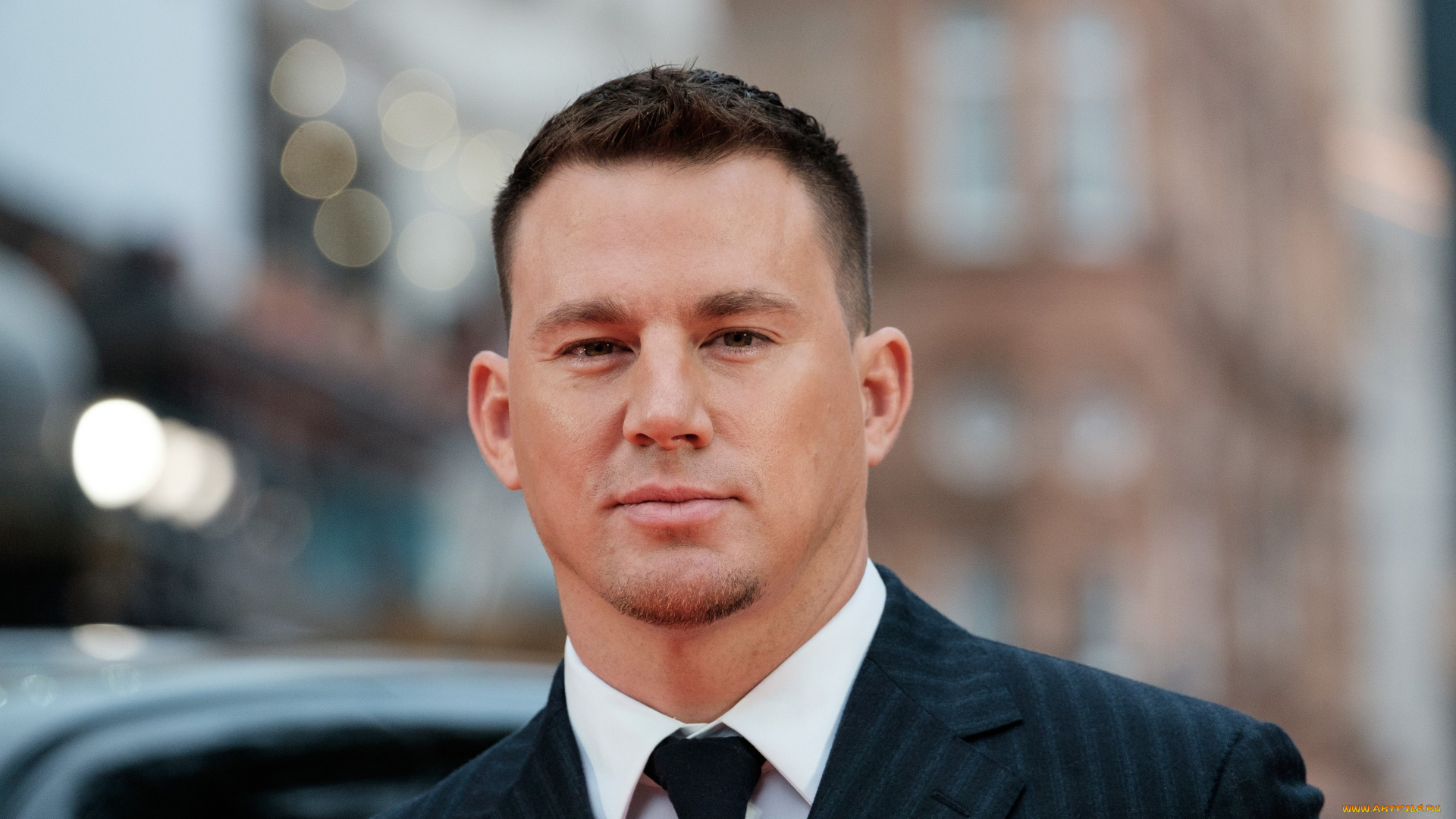 мужчины, channing, taturn, лицо, галстук, актер, костюм