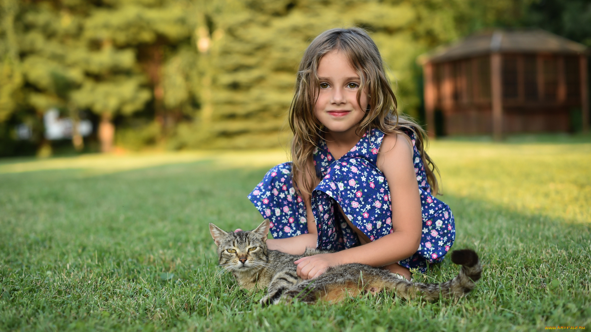 разное, настроения, котик, девочка