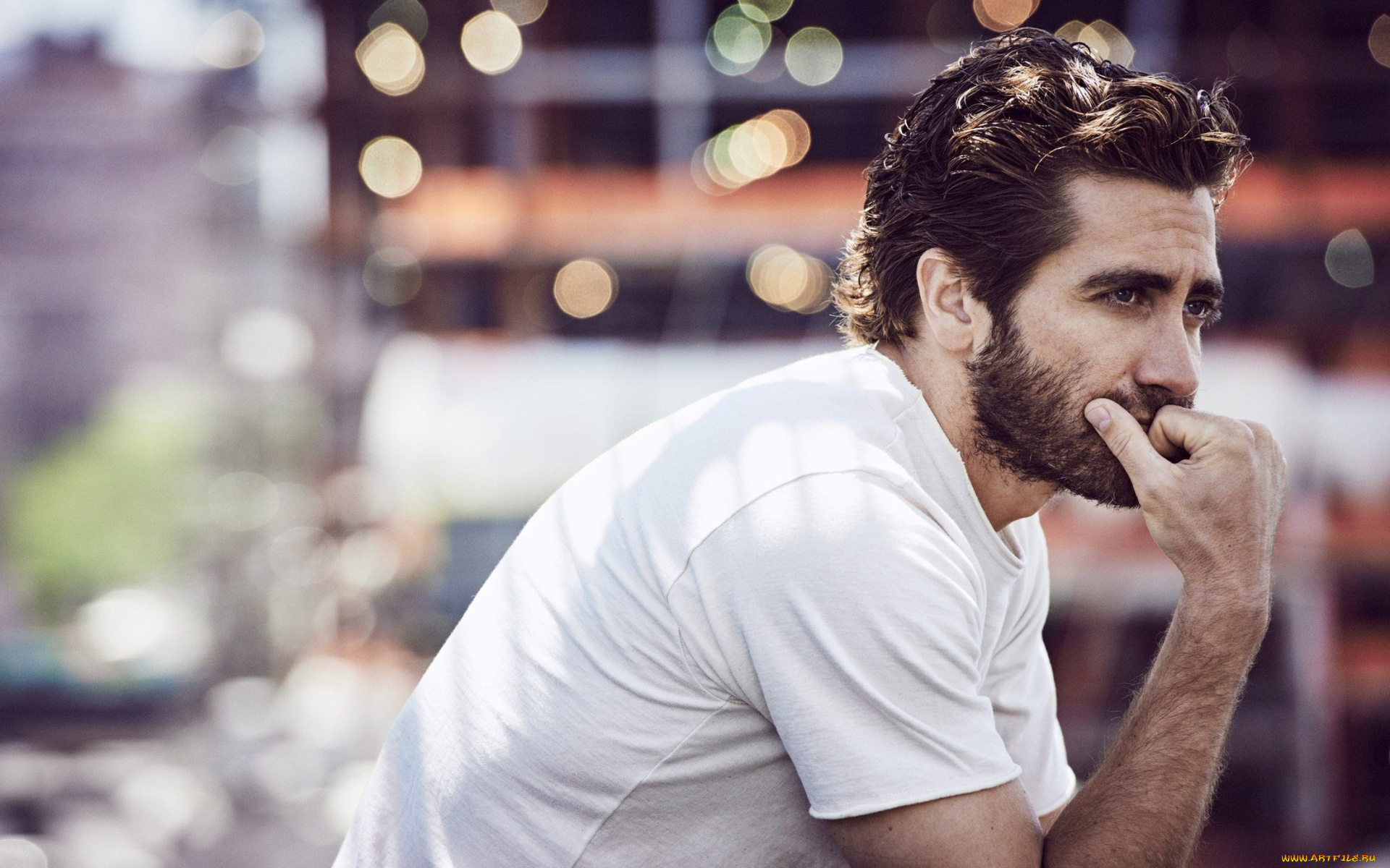 jake, gyllenhaal, мужчины, джейкоб, бенджамин, джилленхол, джейк, американский, актер, 2019, мужчина, голливуд, американская, знаменитость