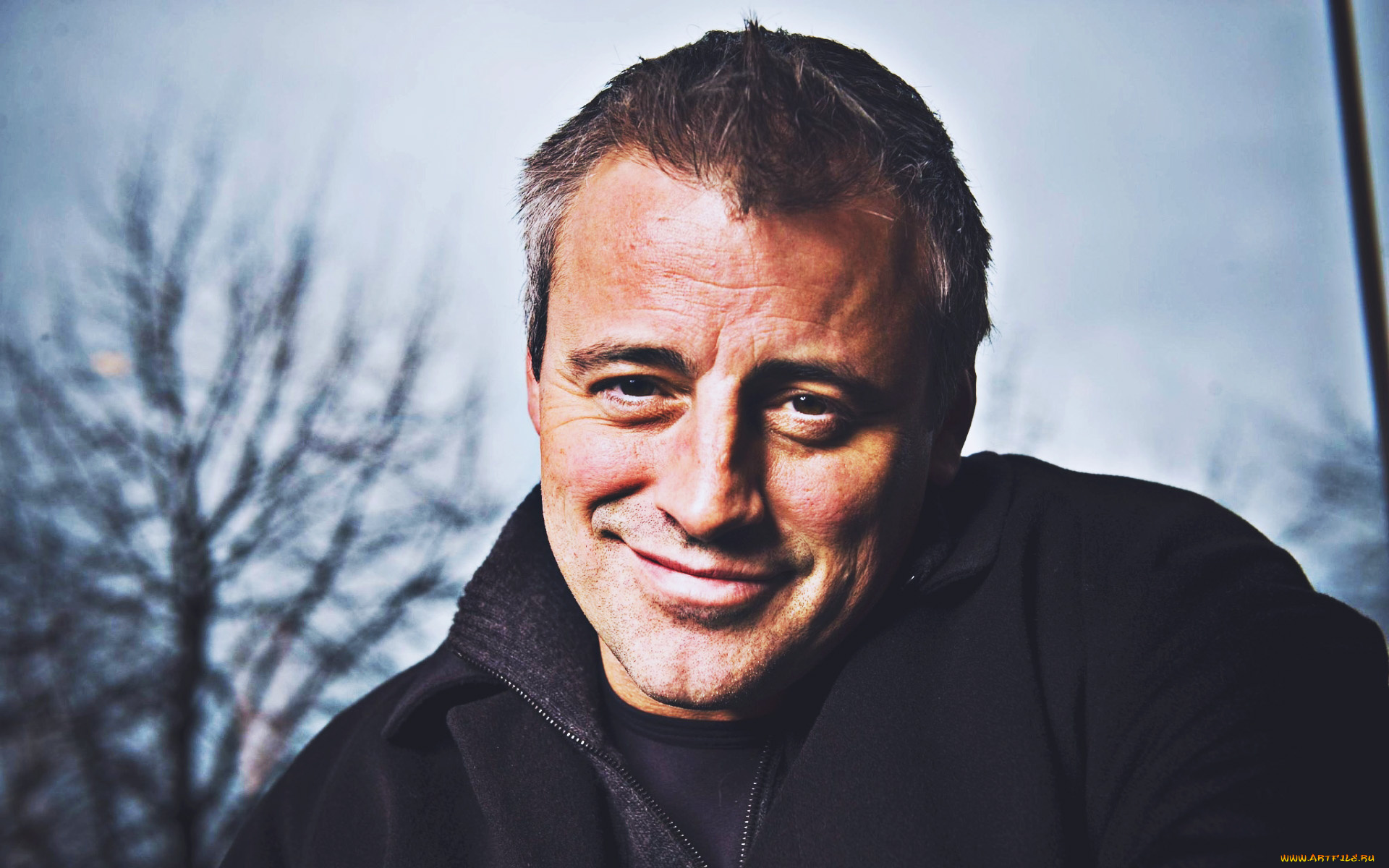 matt, leblanc, мужчины, американский, актер, мэттью, стивен, леблан, американская, знаменитость, 2019, мэтт, лебланк, мужчина, голливуд