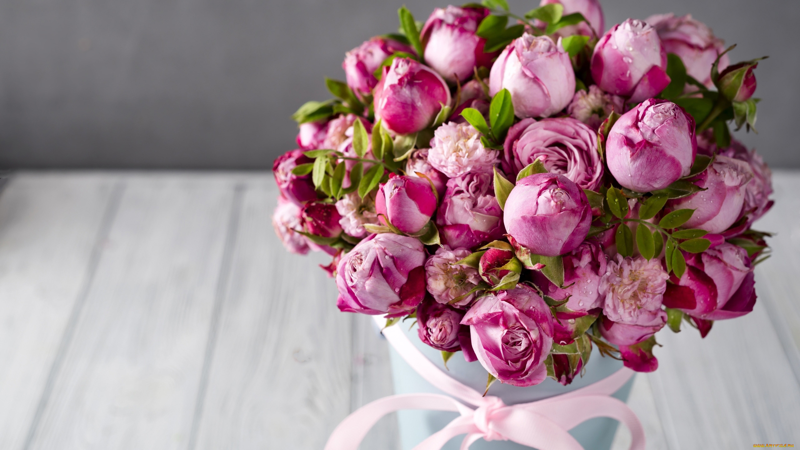 цветы, розы, бутоны