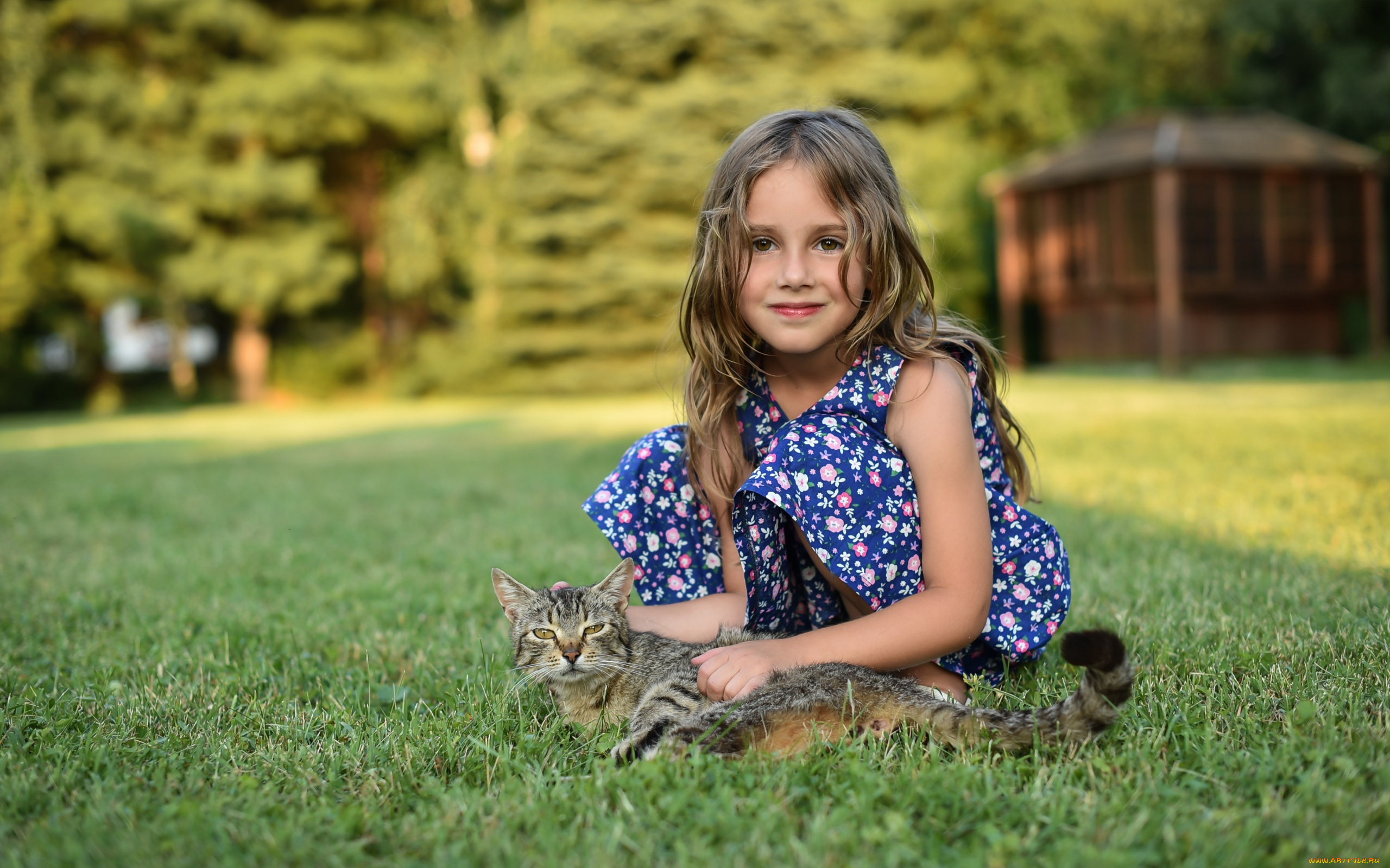 разное, настроения, котик, девочка