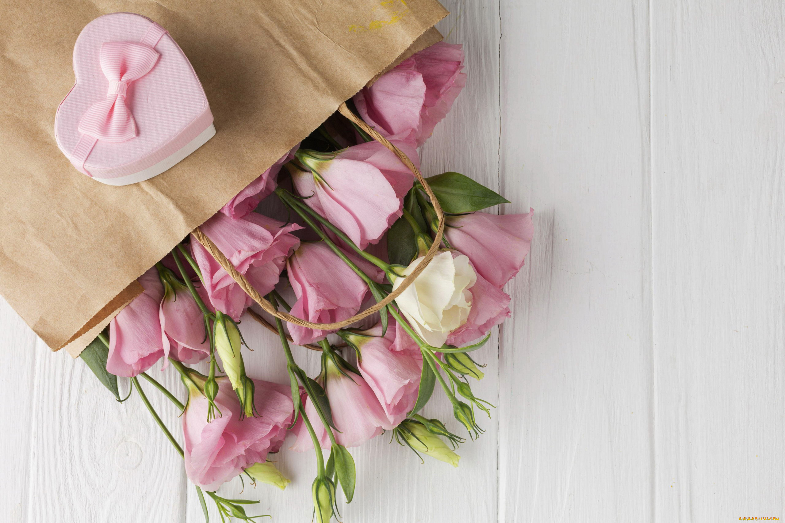 цветы, эустома, бутоны