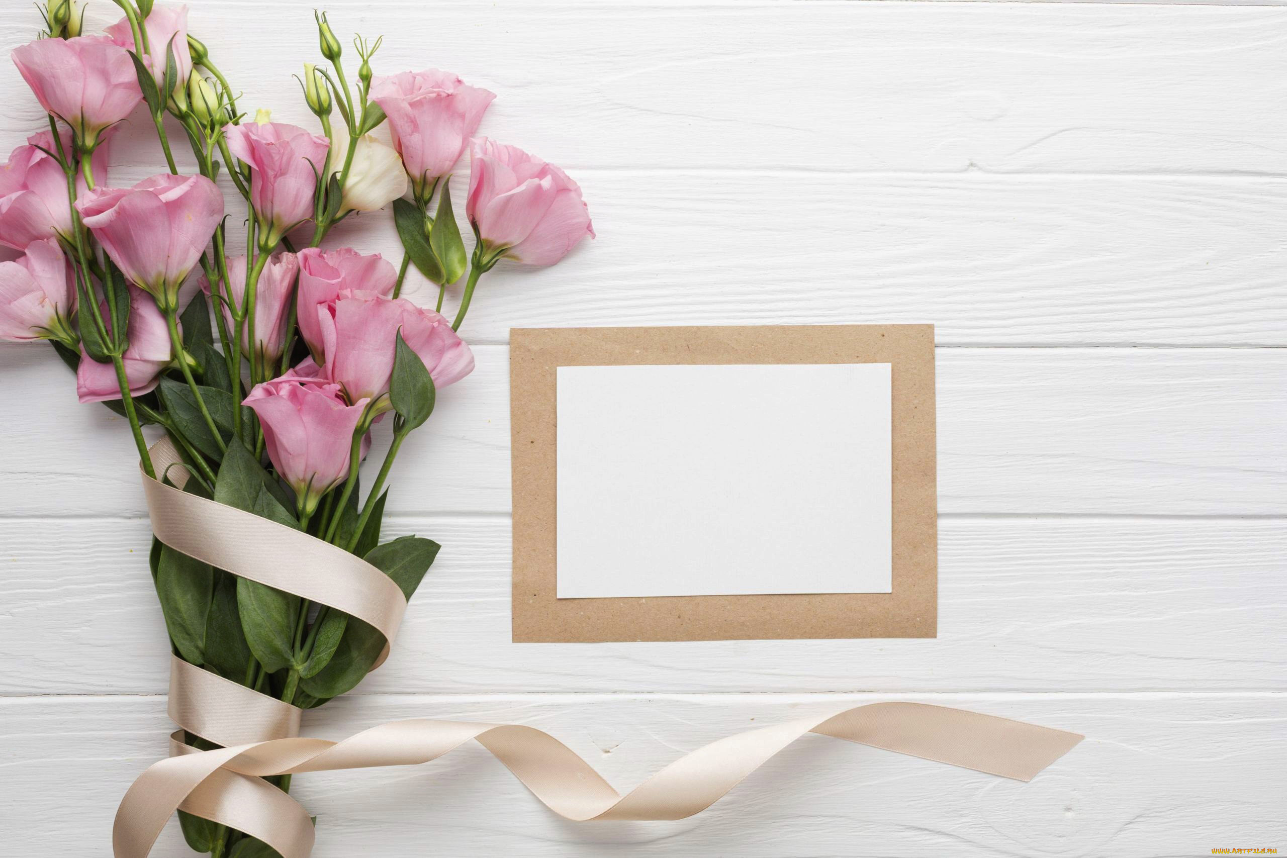 цветы, эустома, лента, рамка